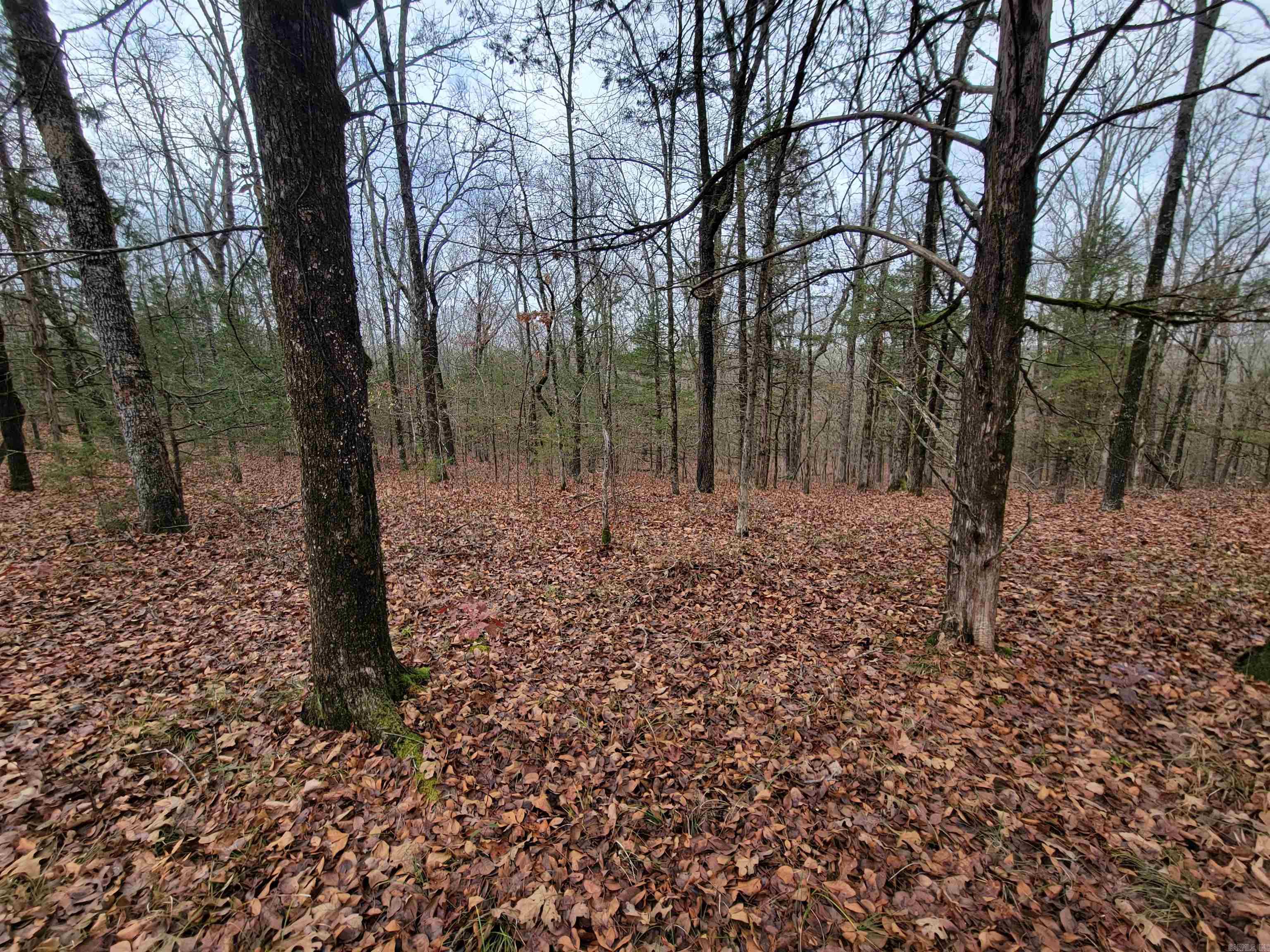 00 McNew Cemetery Rd  Greenbrier, AR