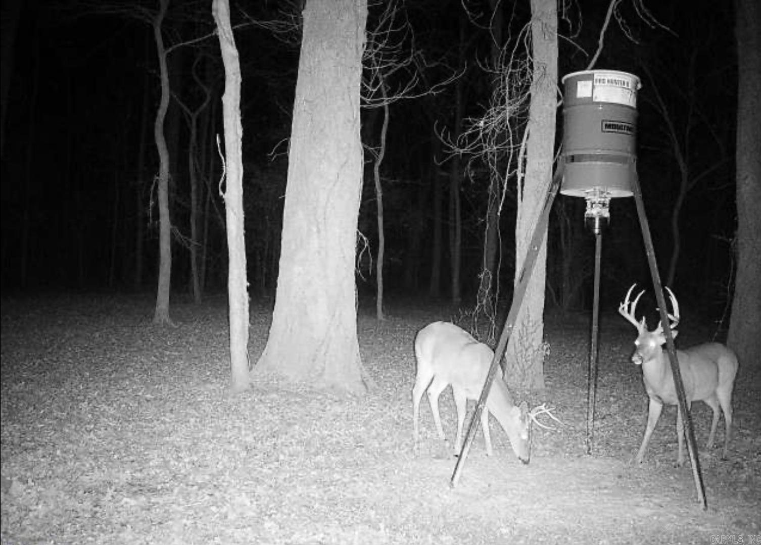 00 McNew Cemetery Rd  Greenbrier, AR