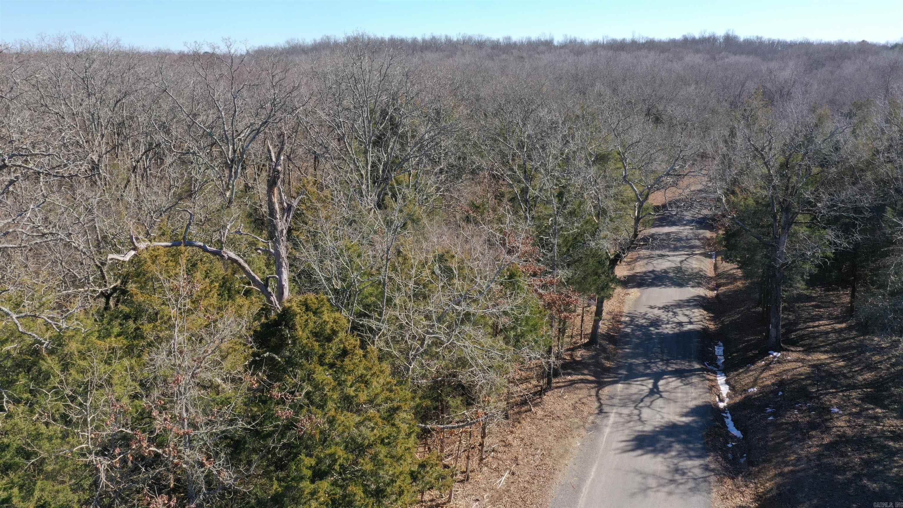 0 McNew Cemetery Rd  Greenbrier, AR