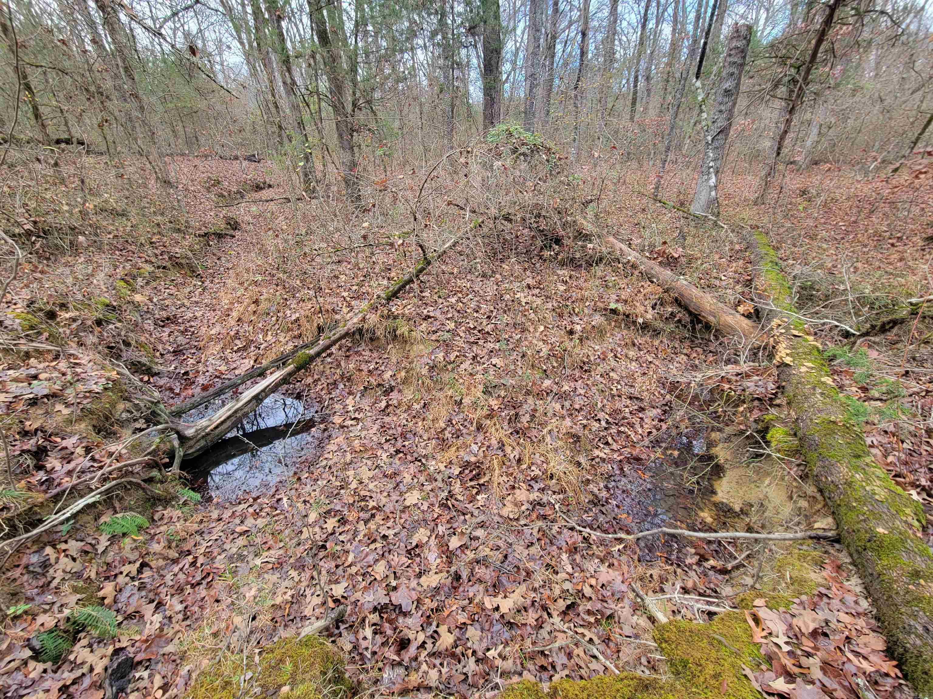 0 McNew Cemetery Rd  Greenbrier, AR