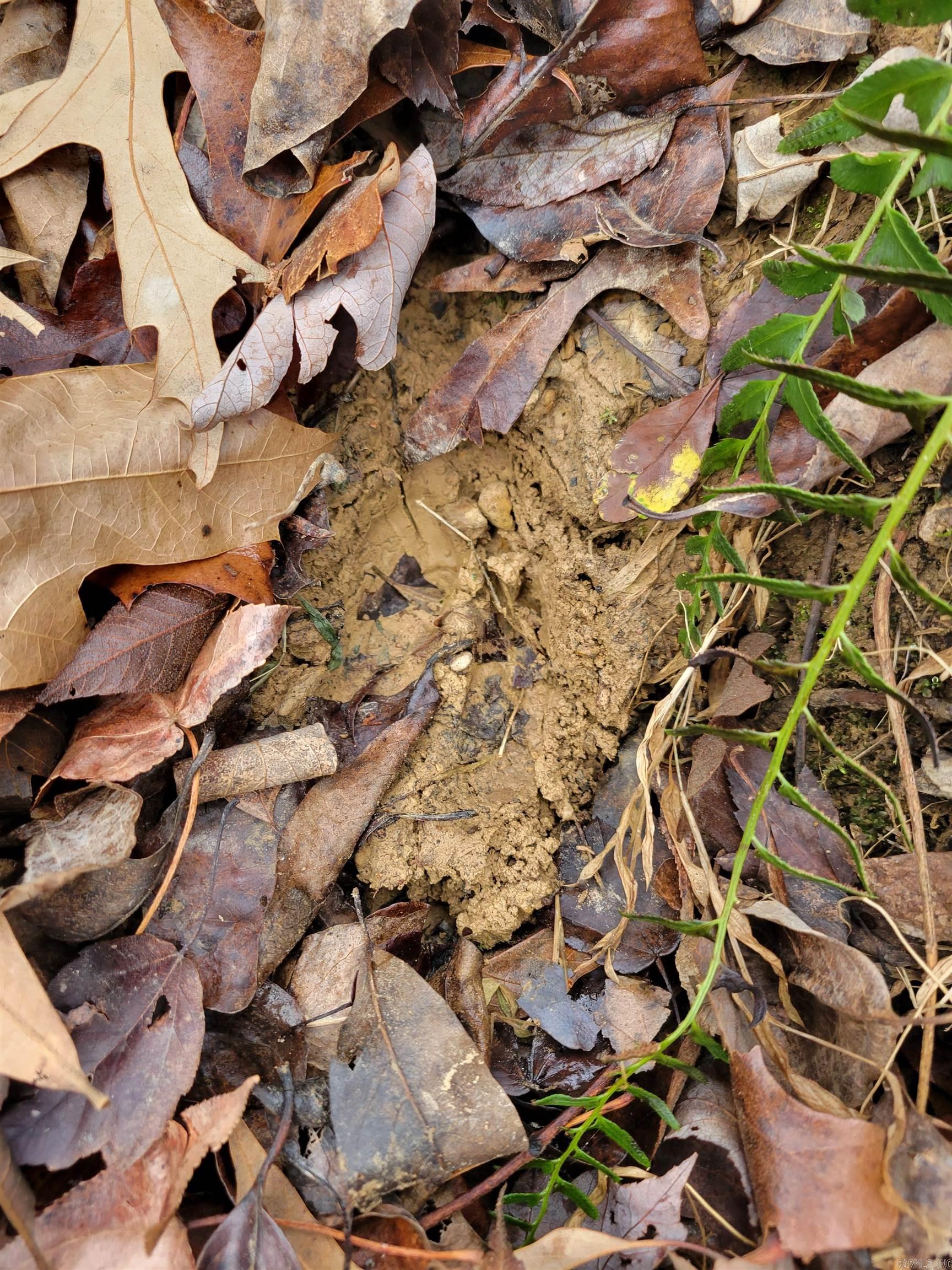 0 McNew Cemetery Rd  Greenbrier, AR