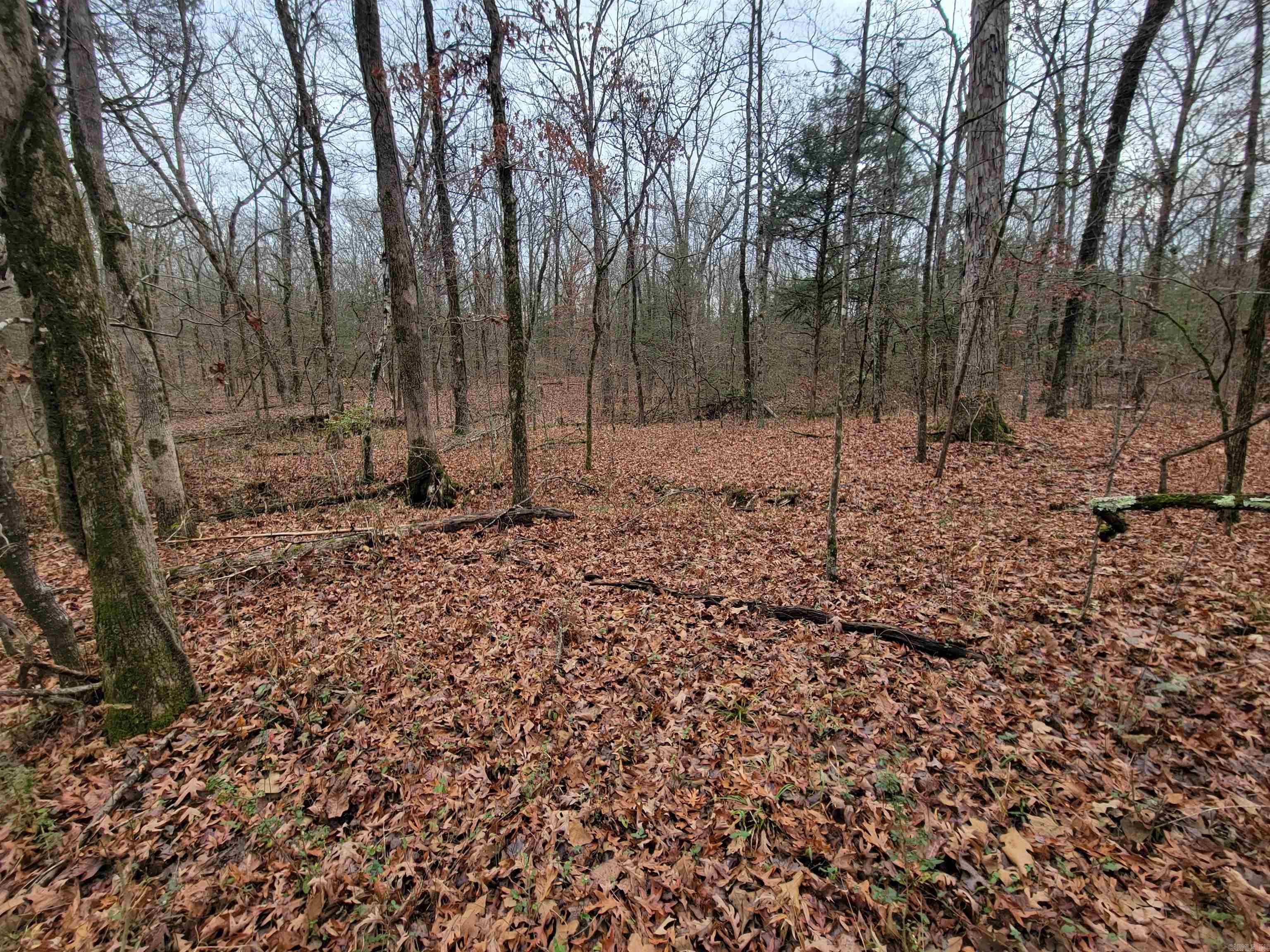 0 McNew Cemetery Rd  Greenbrier, AR