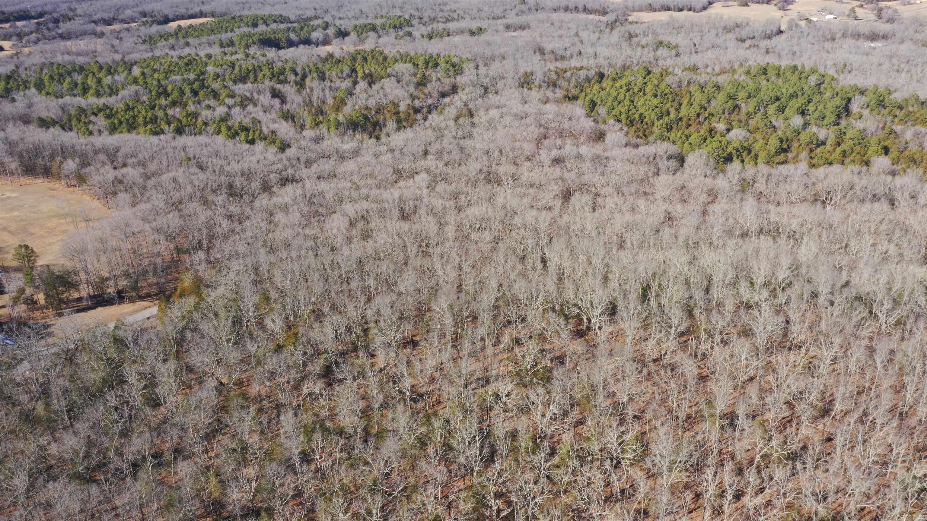 0 McNew Cemetery Rd  Greenbrier, AR