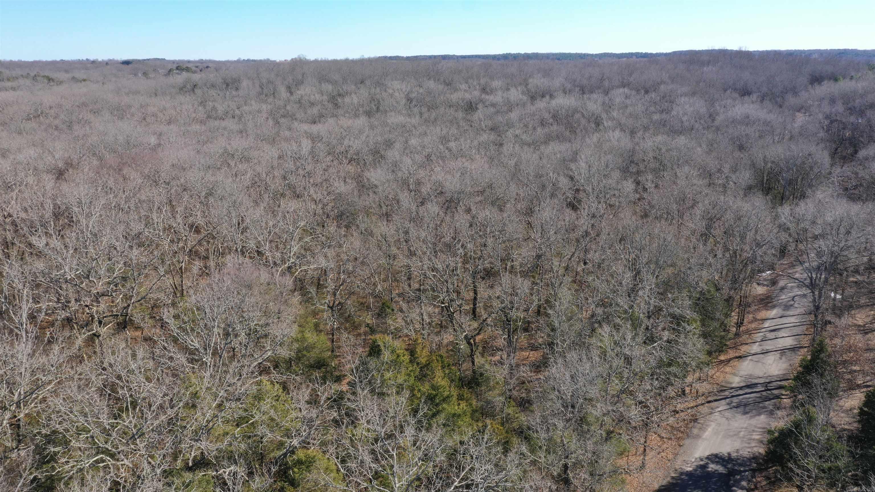 0 McNew Cemetery Rd  Greenbrier, AR