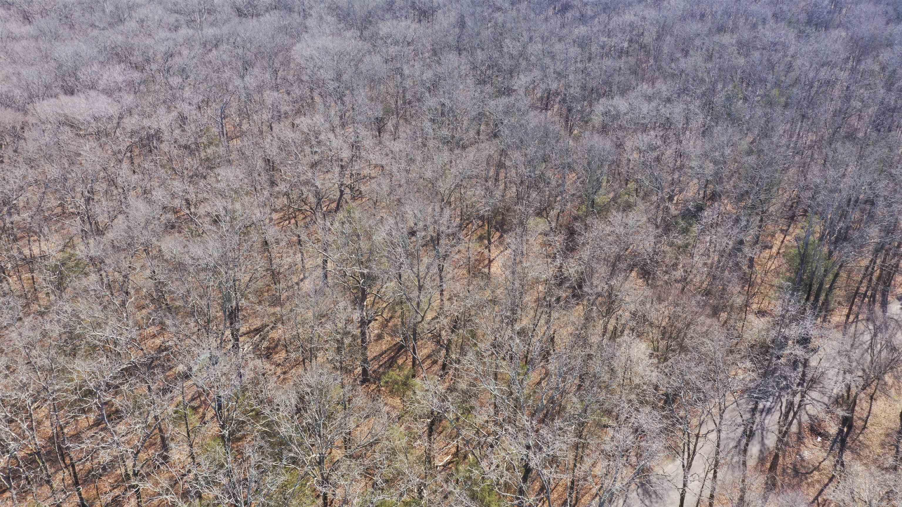 0 McNew Cemetery Rd  Greenbrier, AR