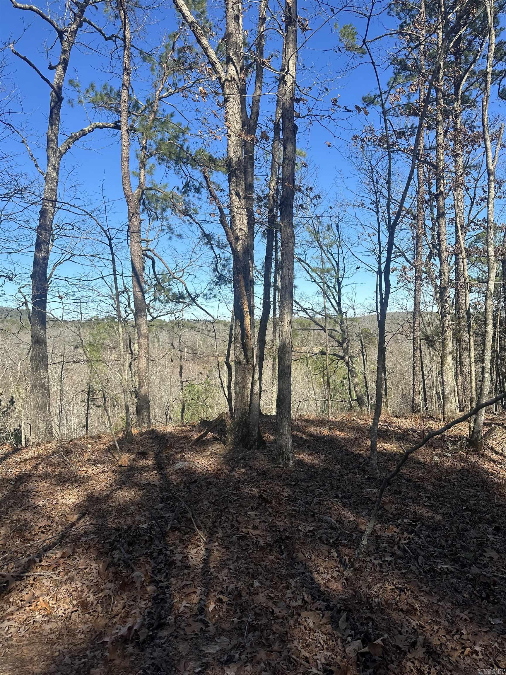 00M Walnut Valley Road  Hot Springs Village, AR