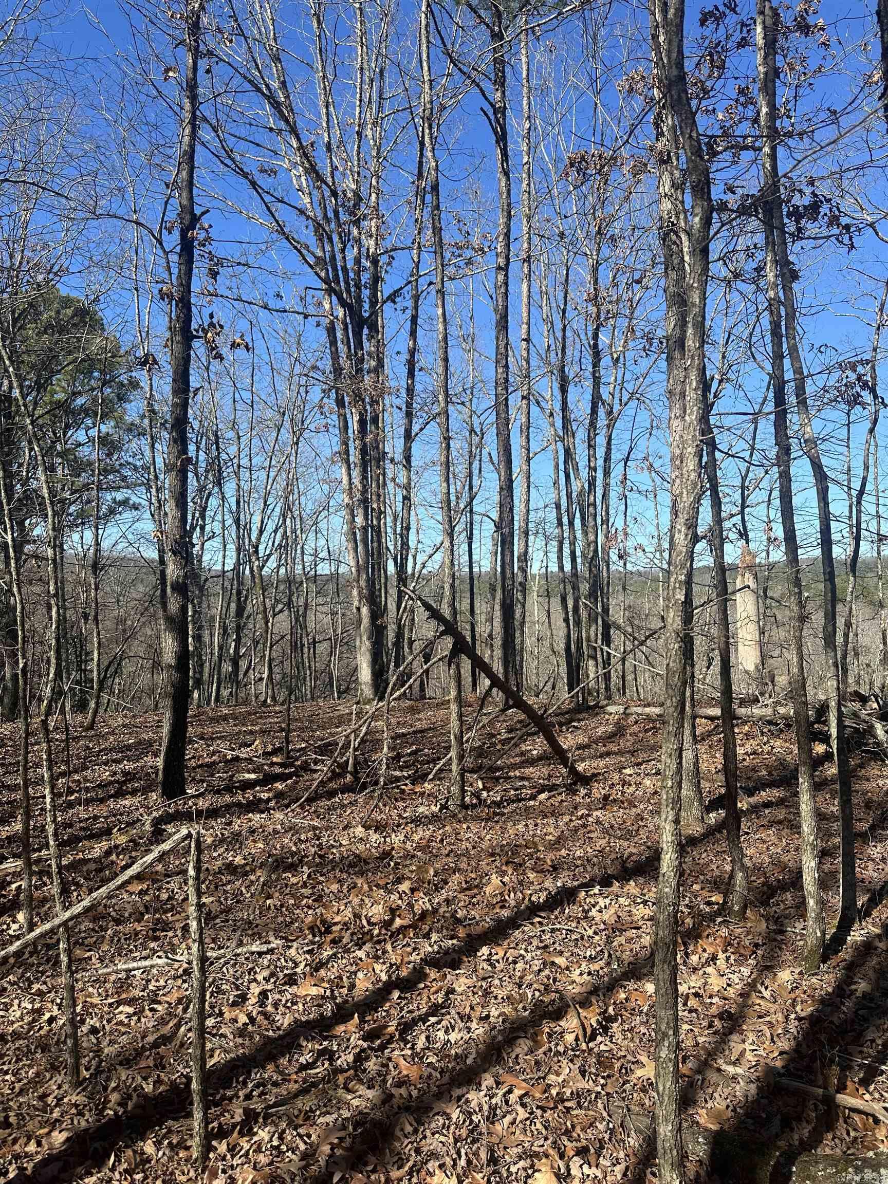 00M Walnut Valley Road  Hot Springs Village, AR