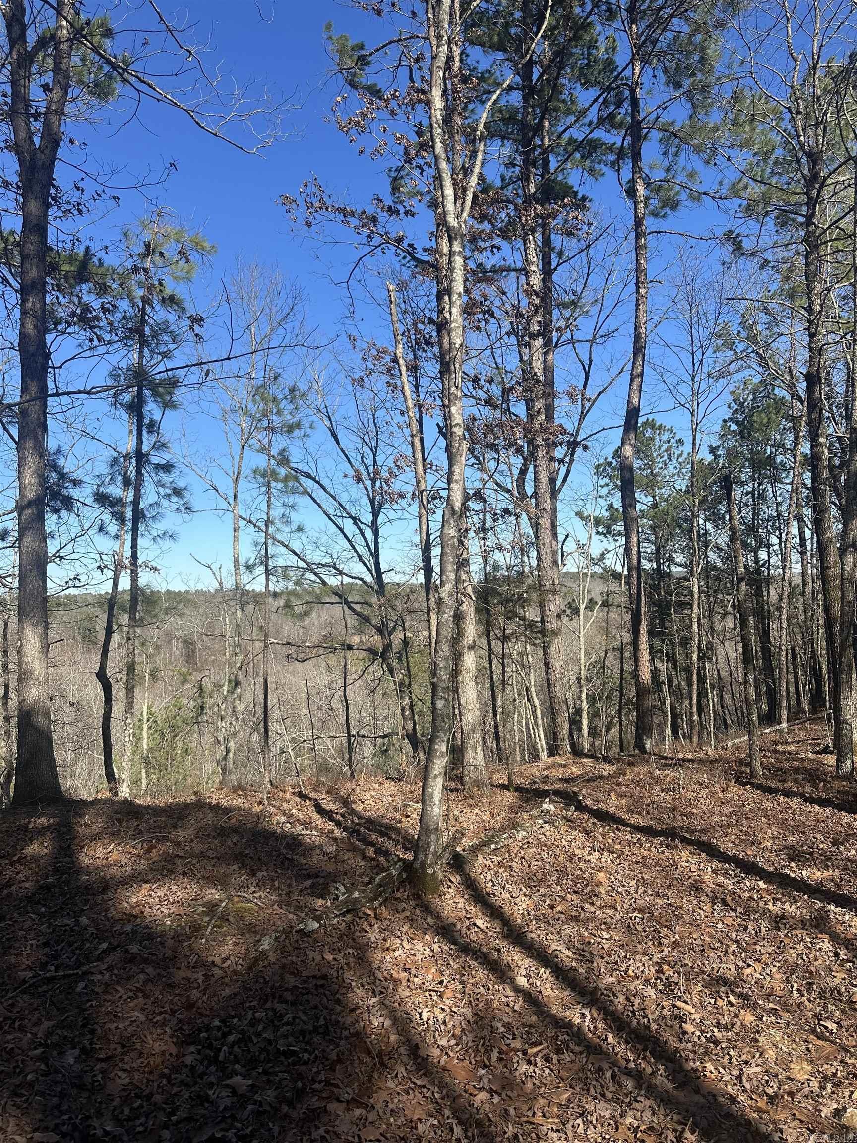 00M Walnut Valley Road  Hot Springs Village, AR