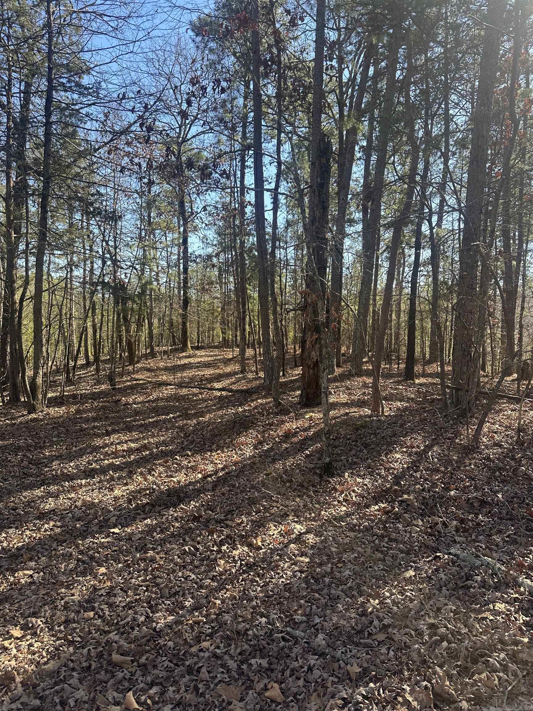 00M Walnut Valley Road  Hot Springs Village, AR