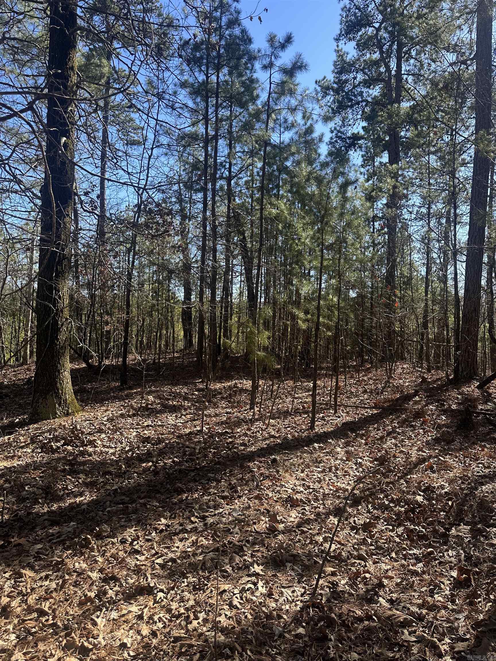 00M Walnut Valley Road  Hot Springs Village, AR