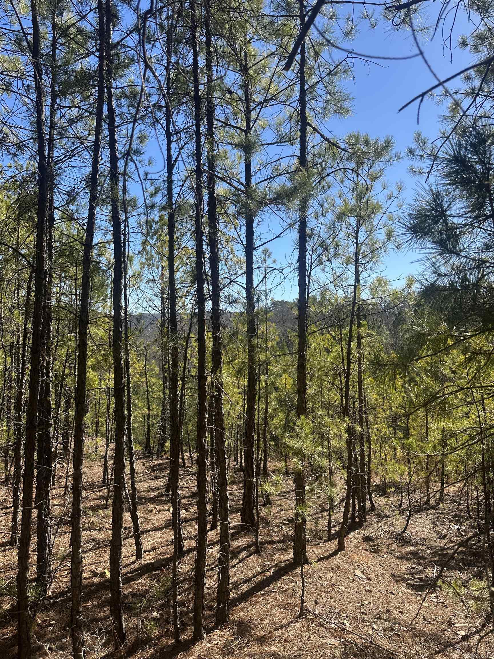 00M Walnut Valley Road  Hot Springs Village, AR