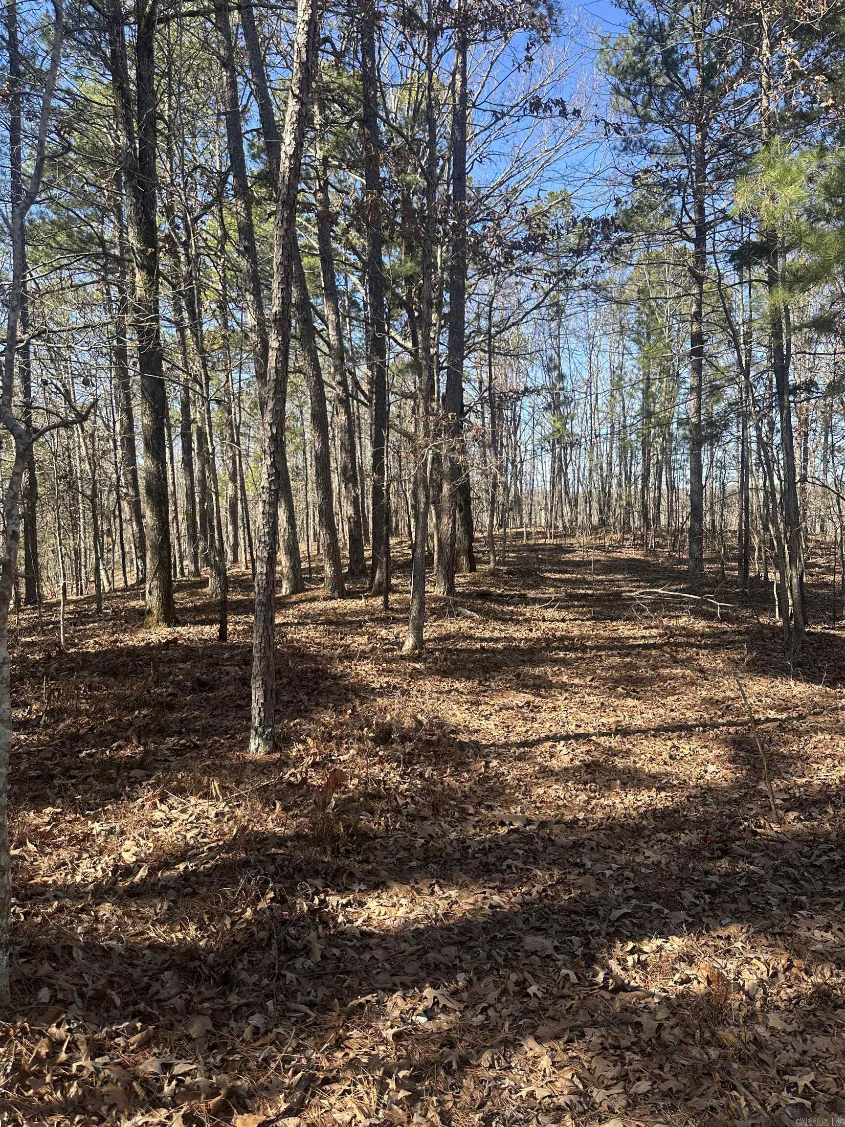 00M Walnut Valley Road  Hot Springs Village, AR