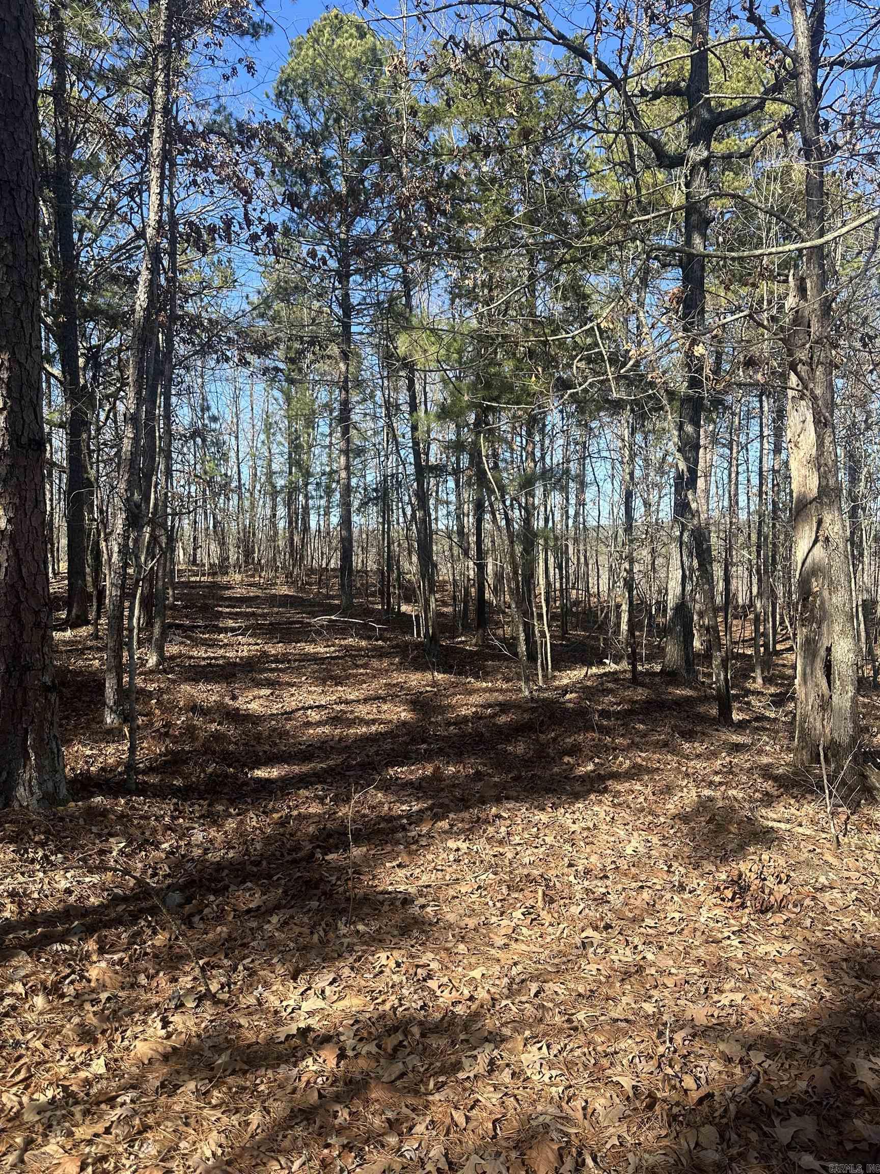 00M Walnut Valley Road  Hot Springs Village, AR