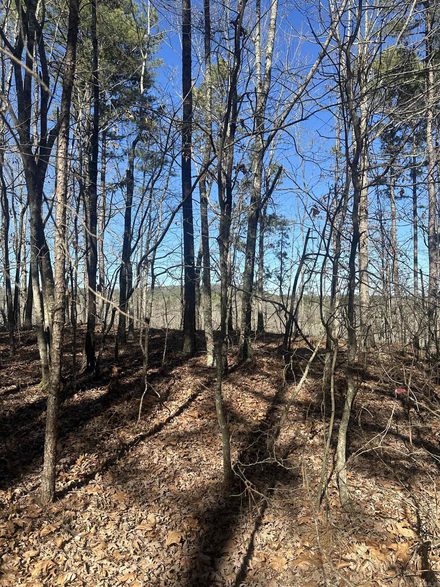 00M Walnut Valley Road  Hot Springs Village, AR