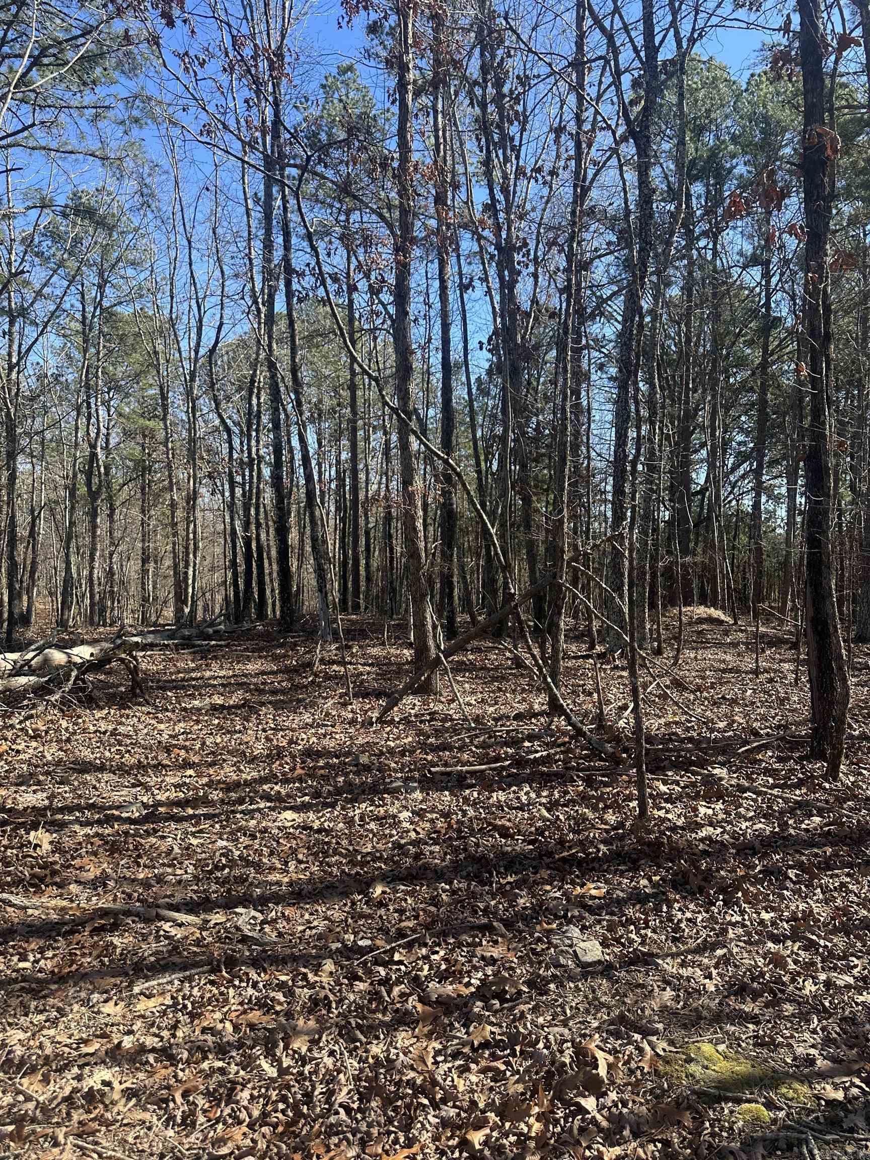 00M Walnut Valley Road  Hot Springs Village, AR