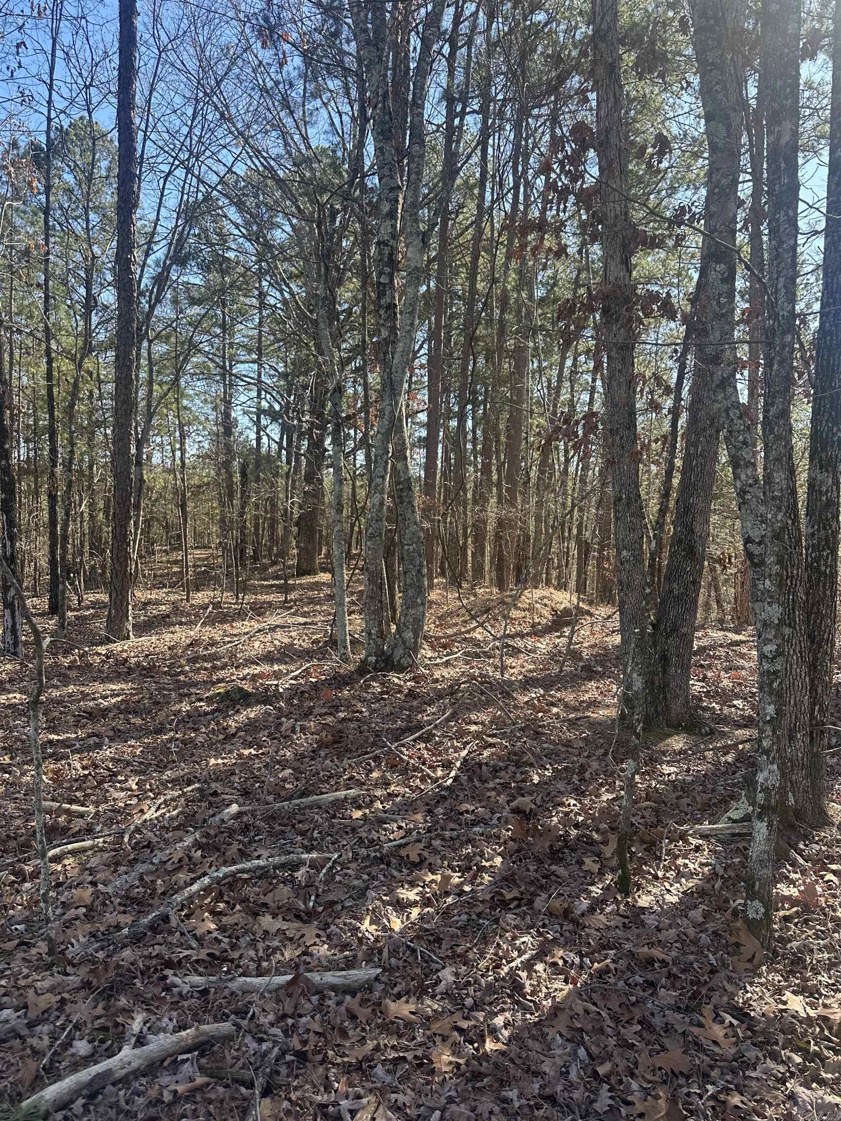 00M Walnut Valley Road  Hot Springs Village, AR