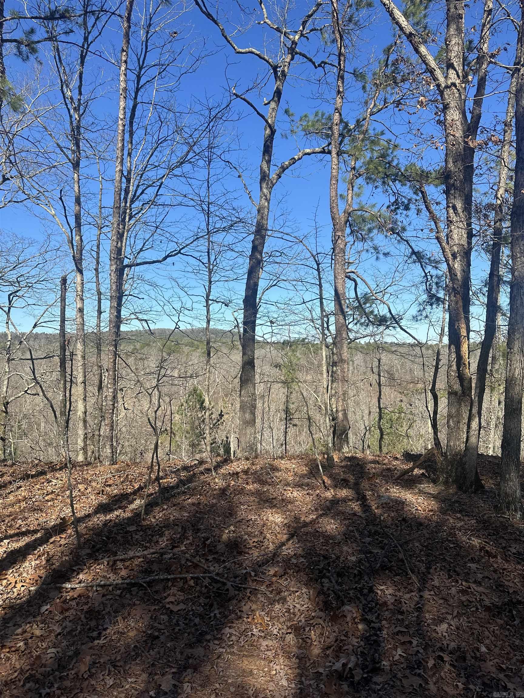 00M Walnut Valley Road  Hot Springs Village, AR