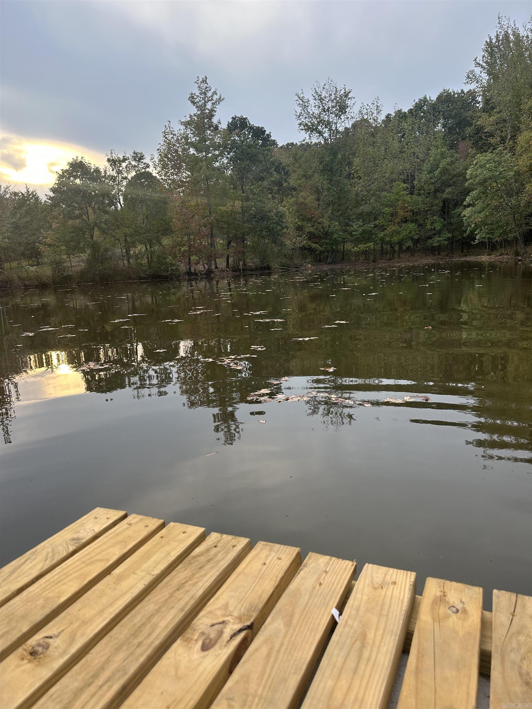 303 County Road 401  Rector, AR