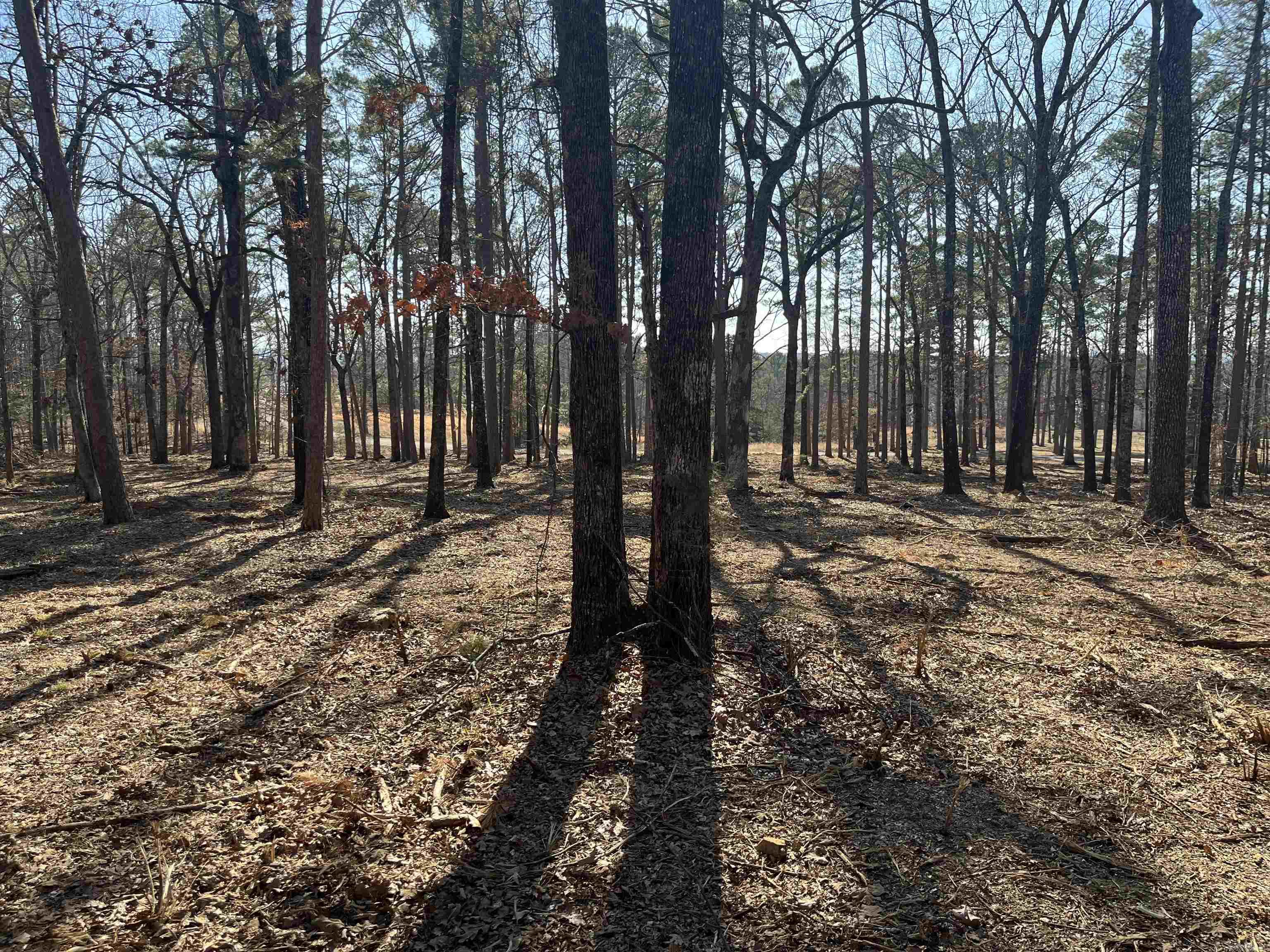 00 Island Shores  Greers Ferry, AR