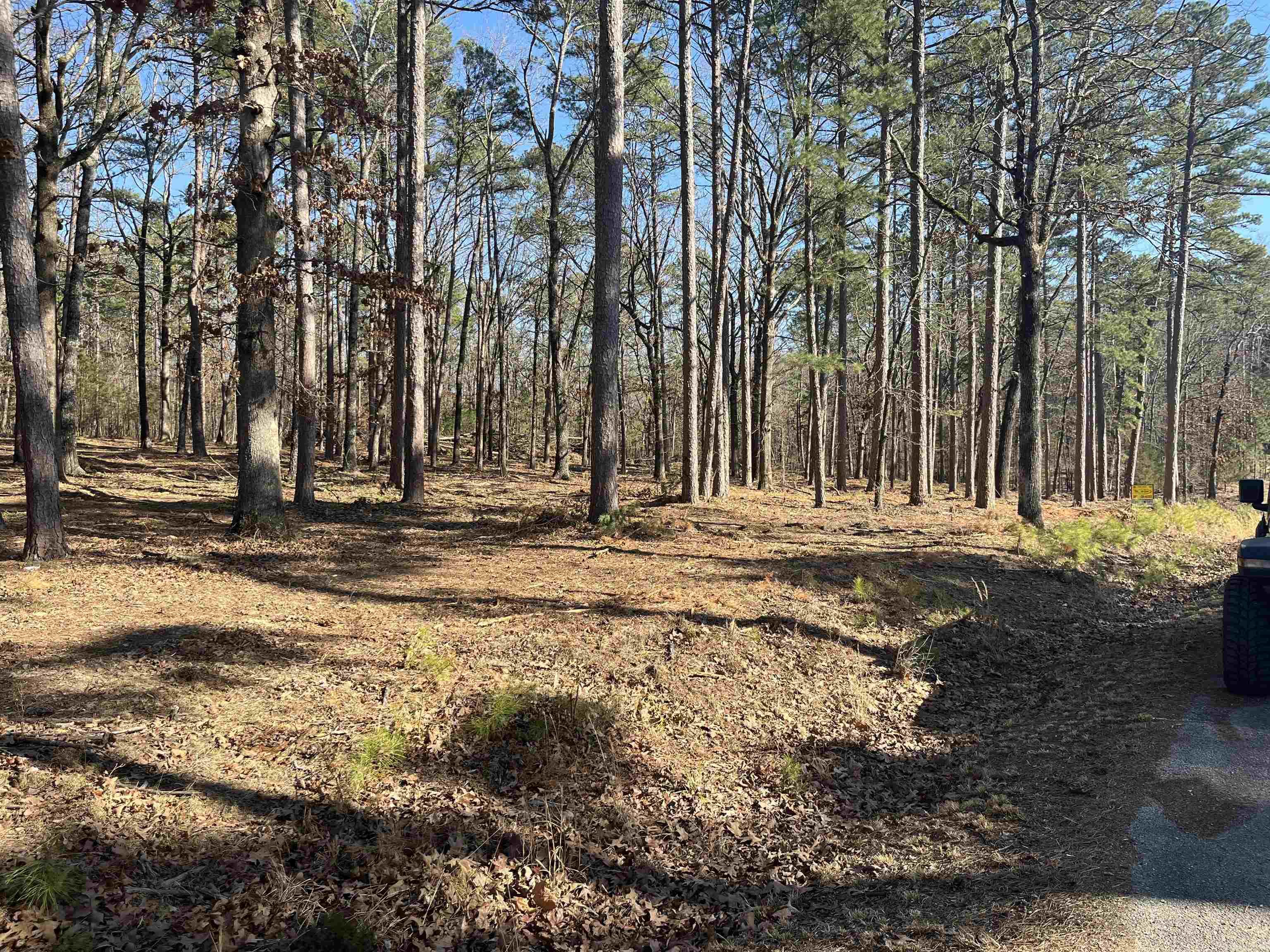 00 Island Shores  Greers Ferry, AR