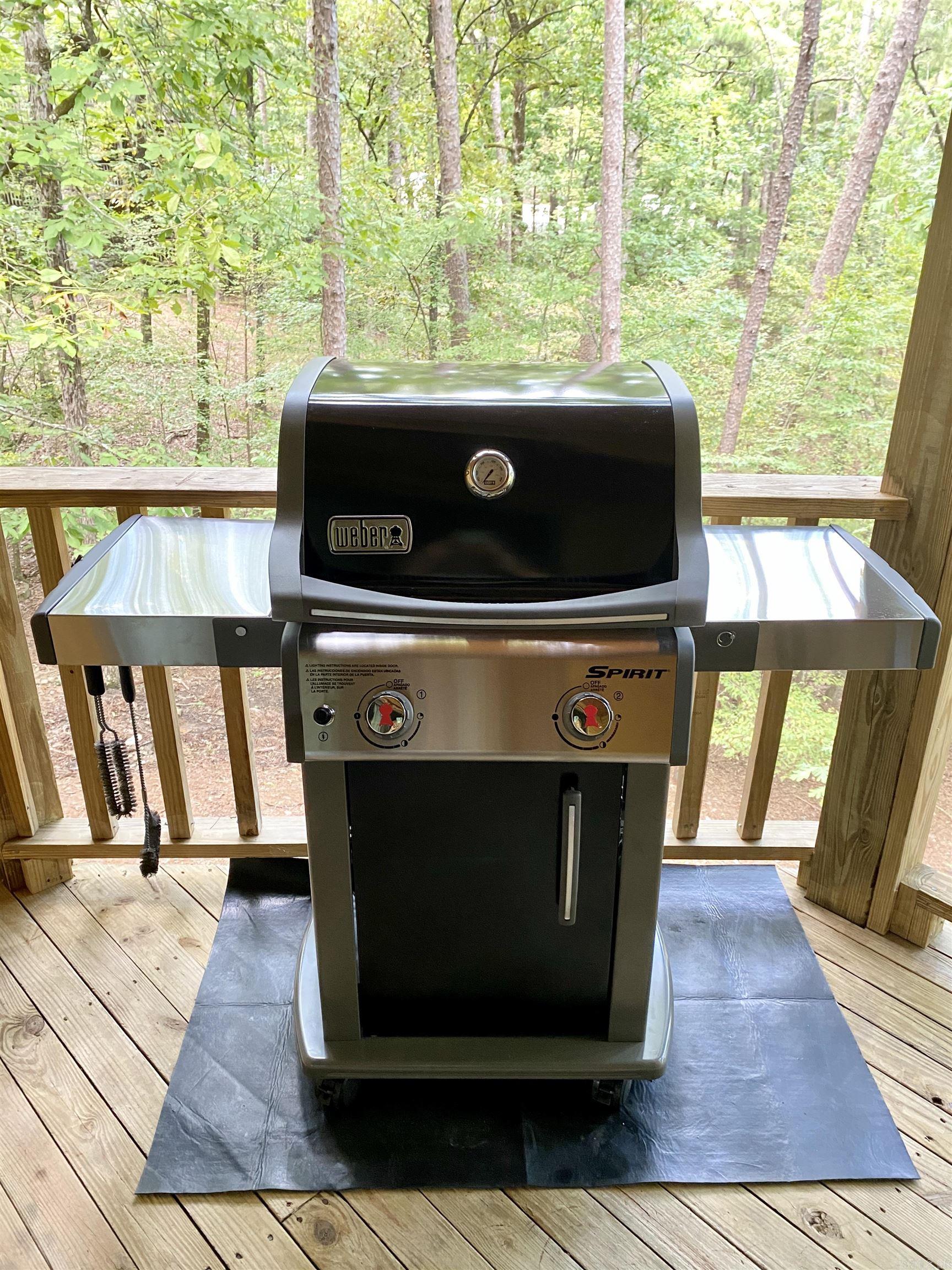 21 Pine Cove  Mount Ida, AR