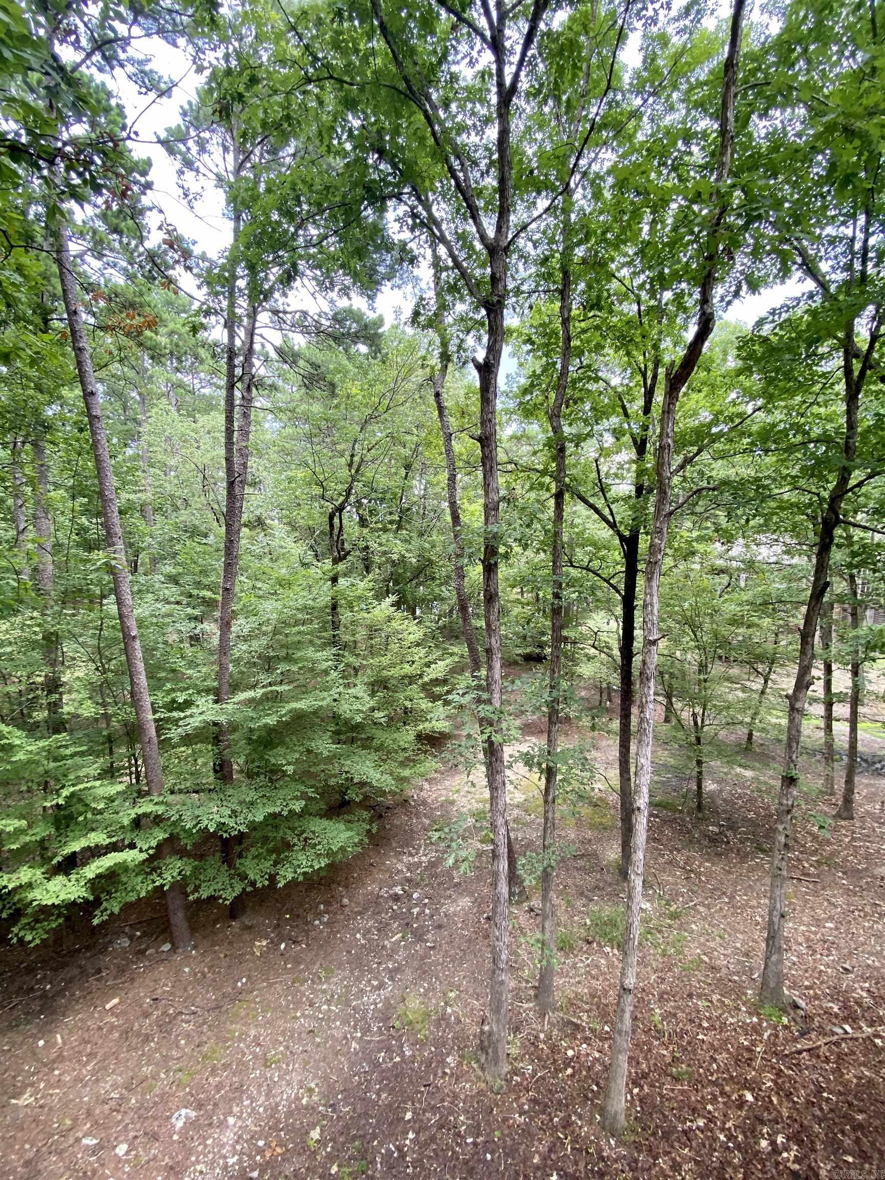 21 Pine Cove  Mount Ida, AR