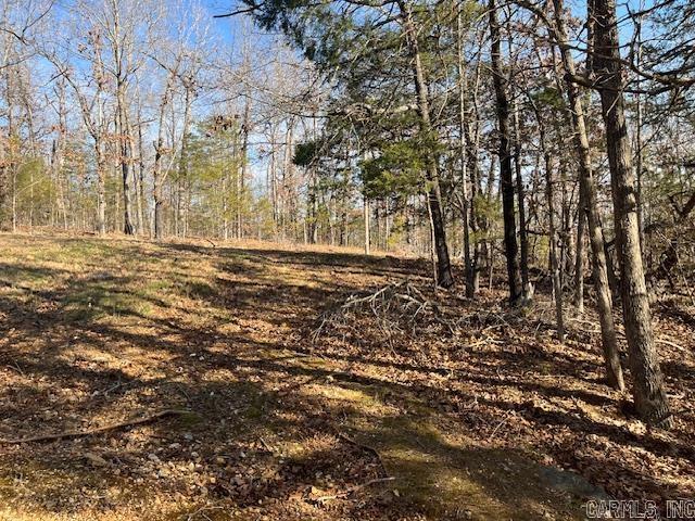 49 Banho  Cherokee Village, AR