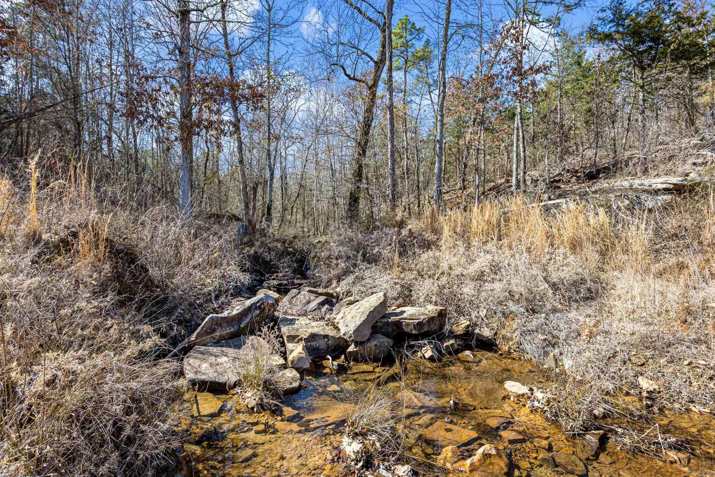 000 Flurry  Delaware, AR