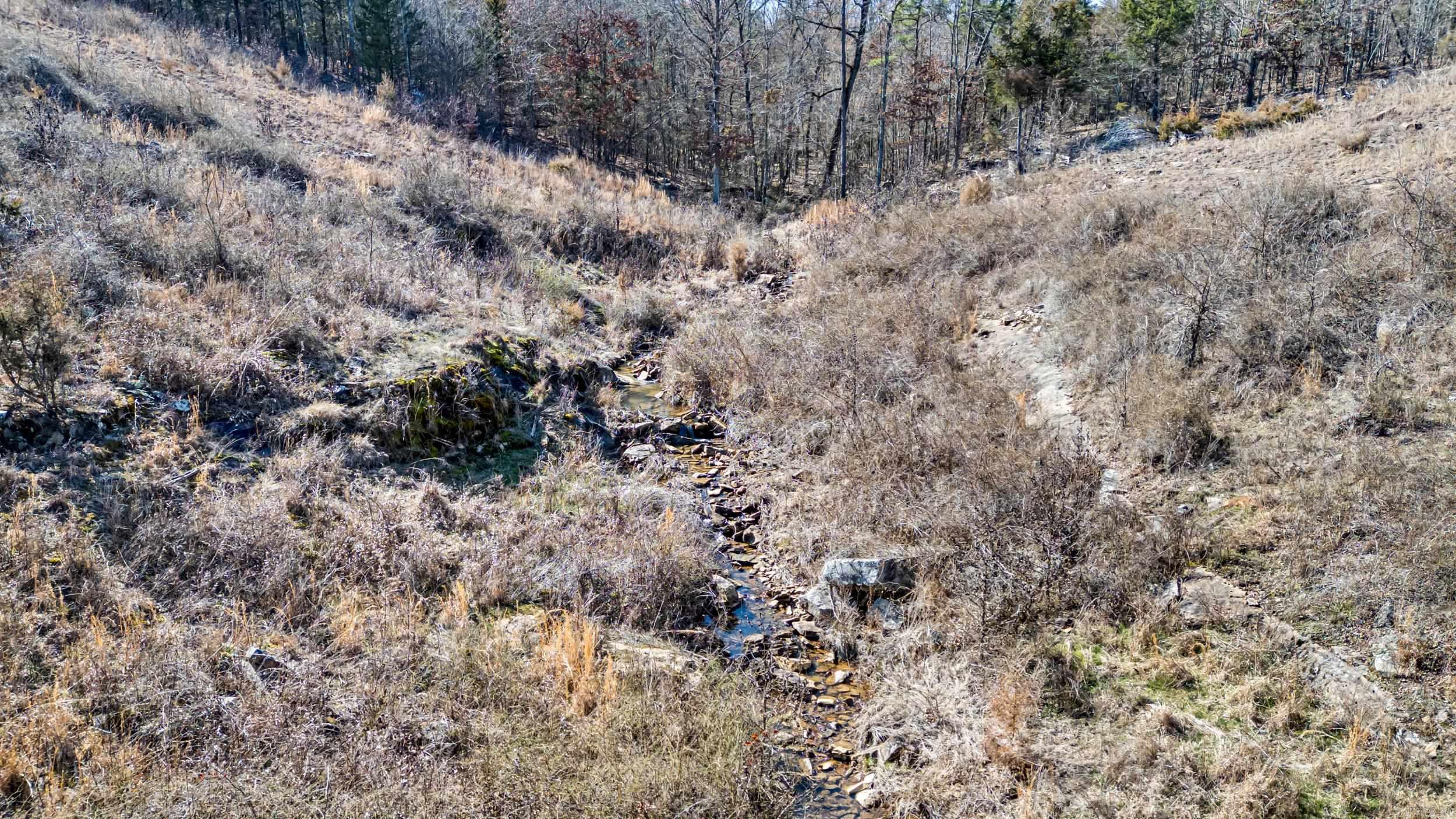 000 Flurry  Delaware, AR