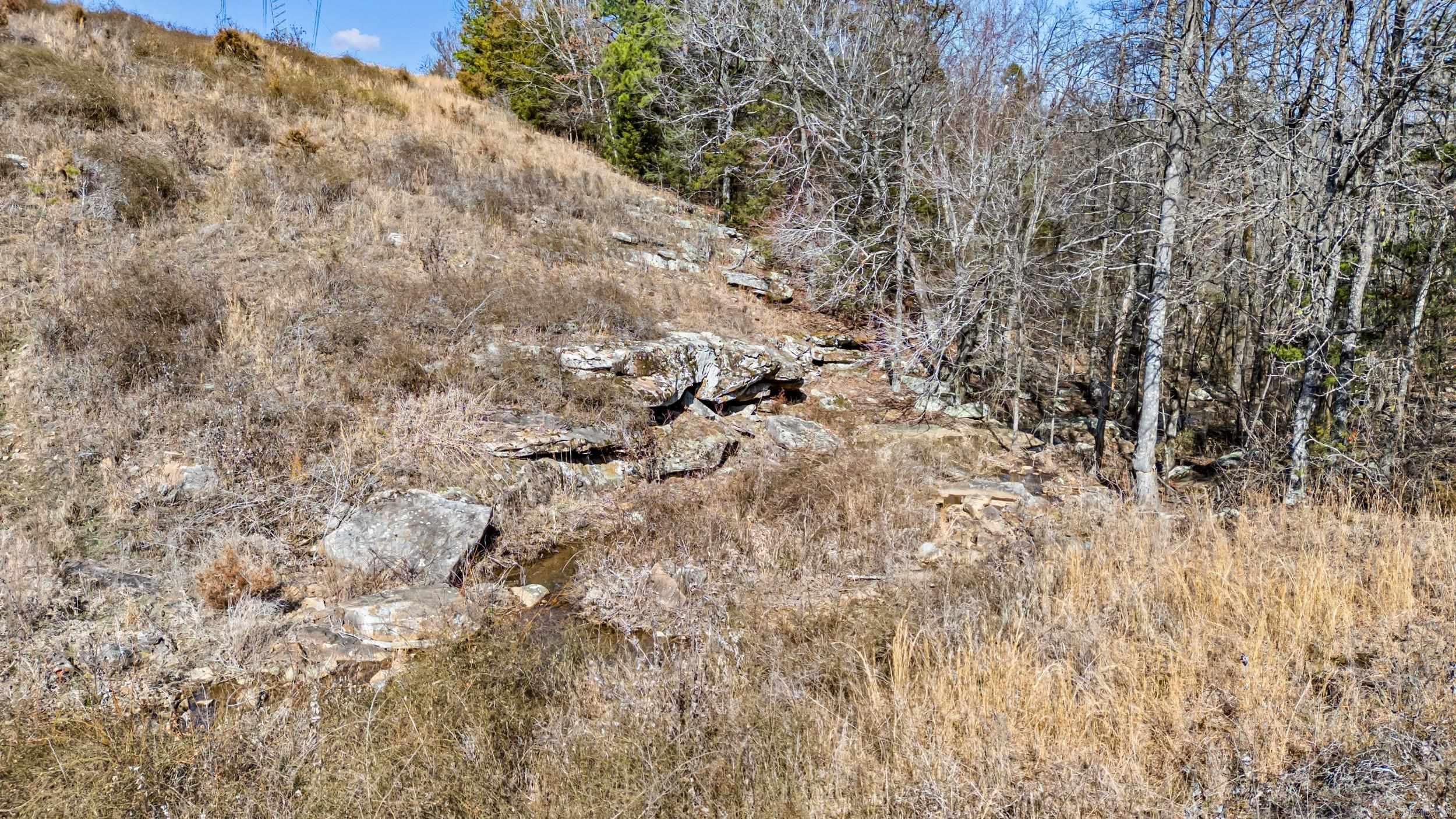 000 Flurry  Delaware, AR