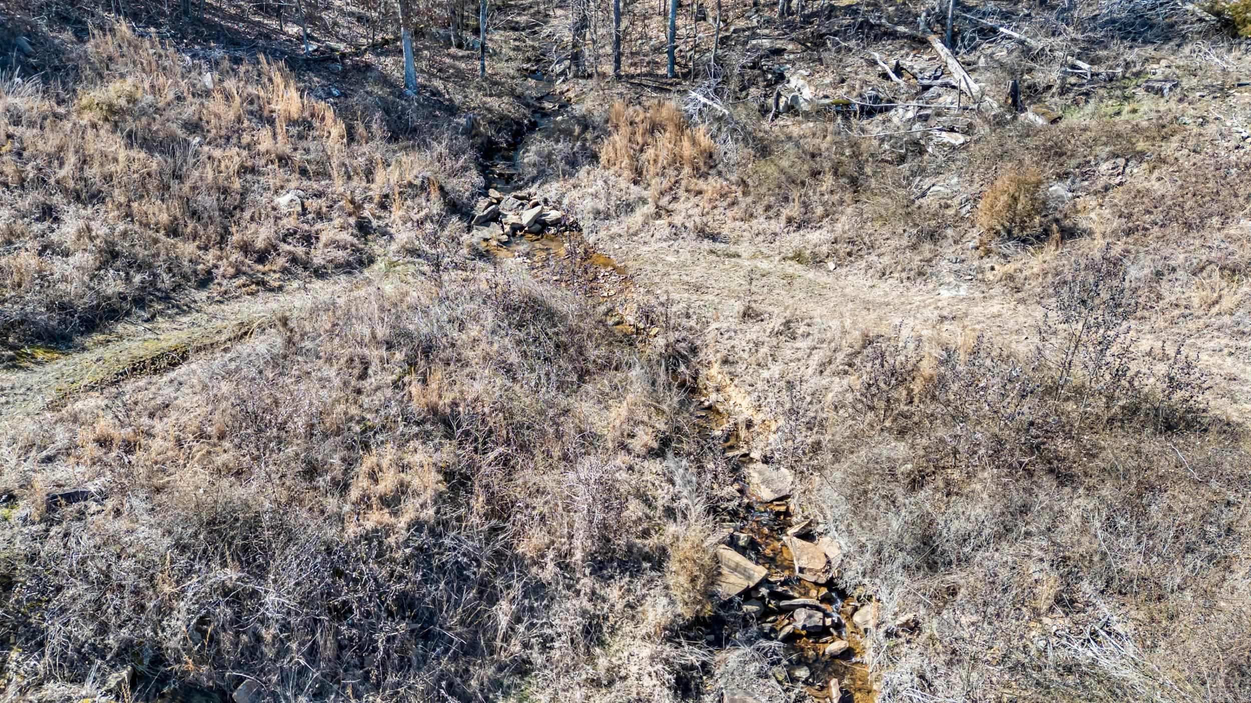 000 Flurry  Delaware, AR