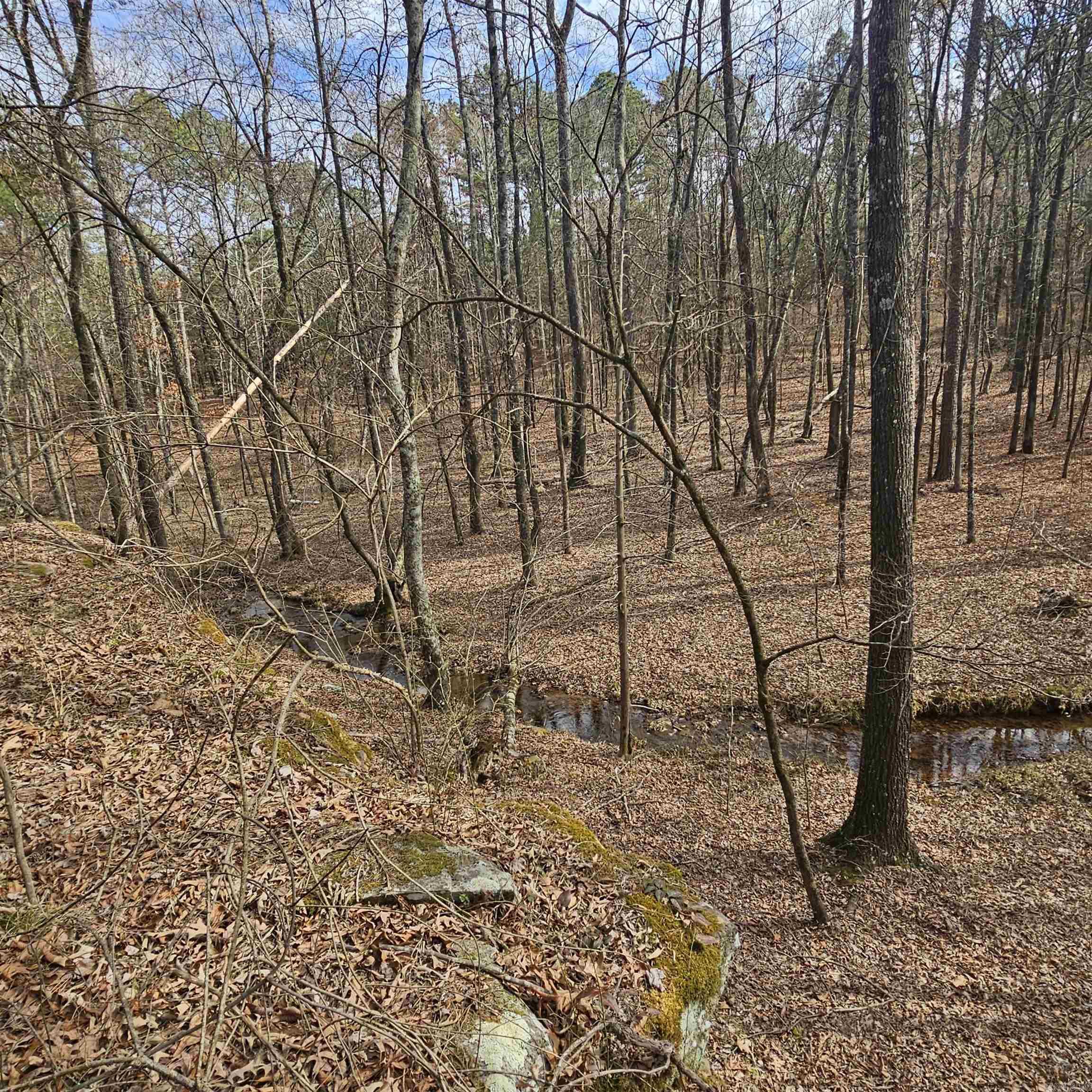 000 Flurry  Delaware, AR