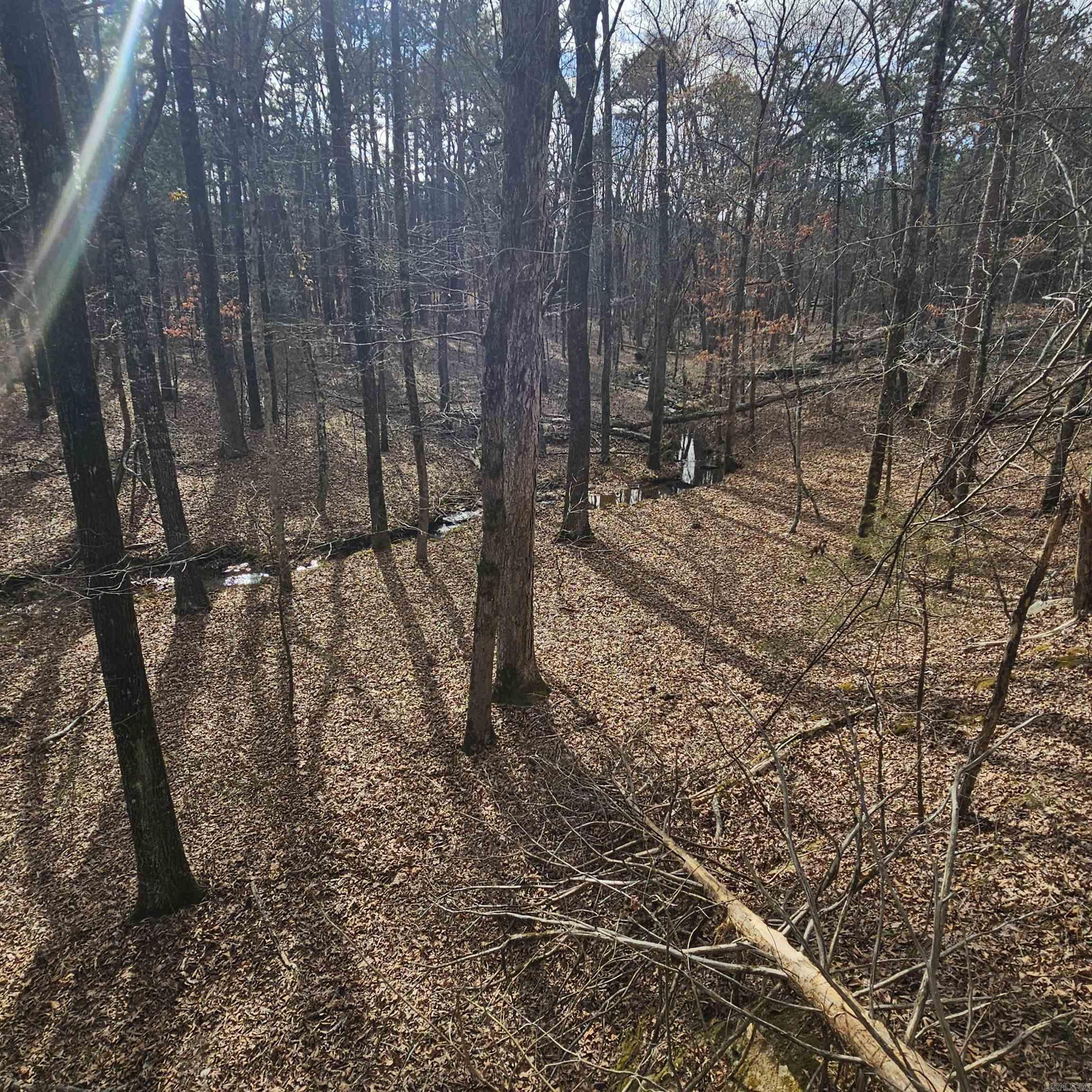 000 Flurry  Delaware, AR