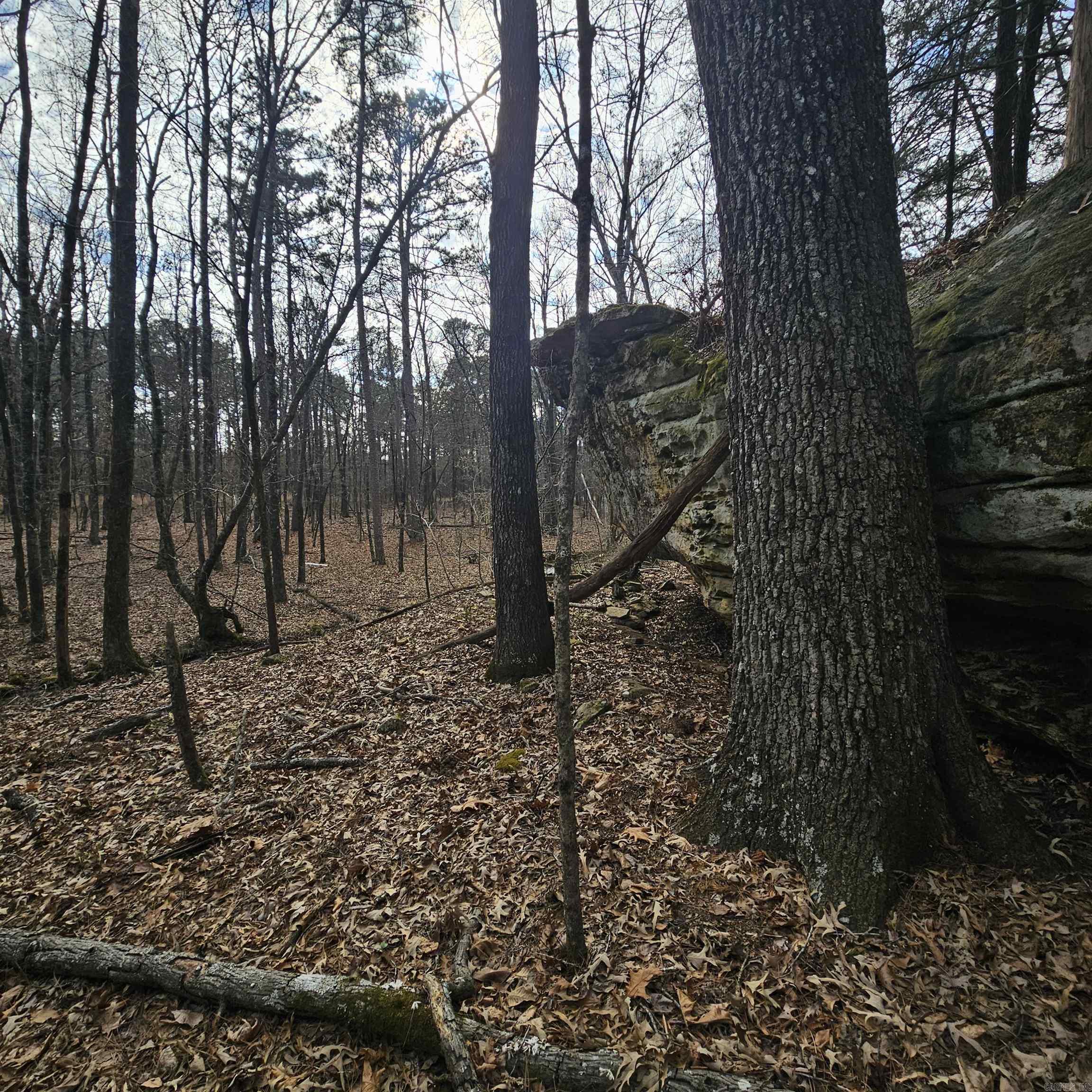 000 Flurry  Delaware, AR