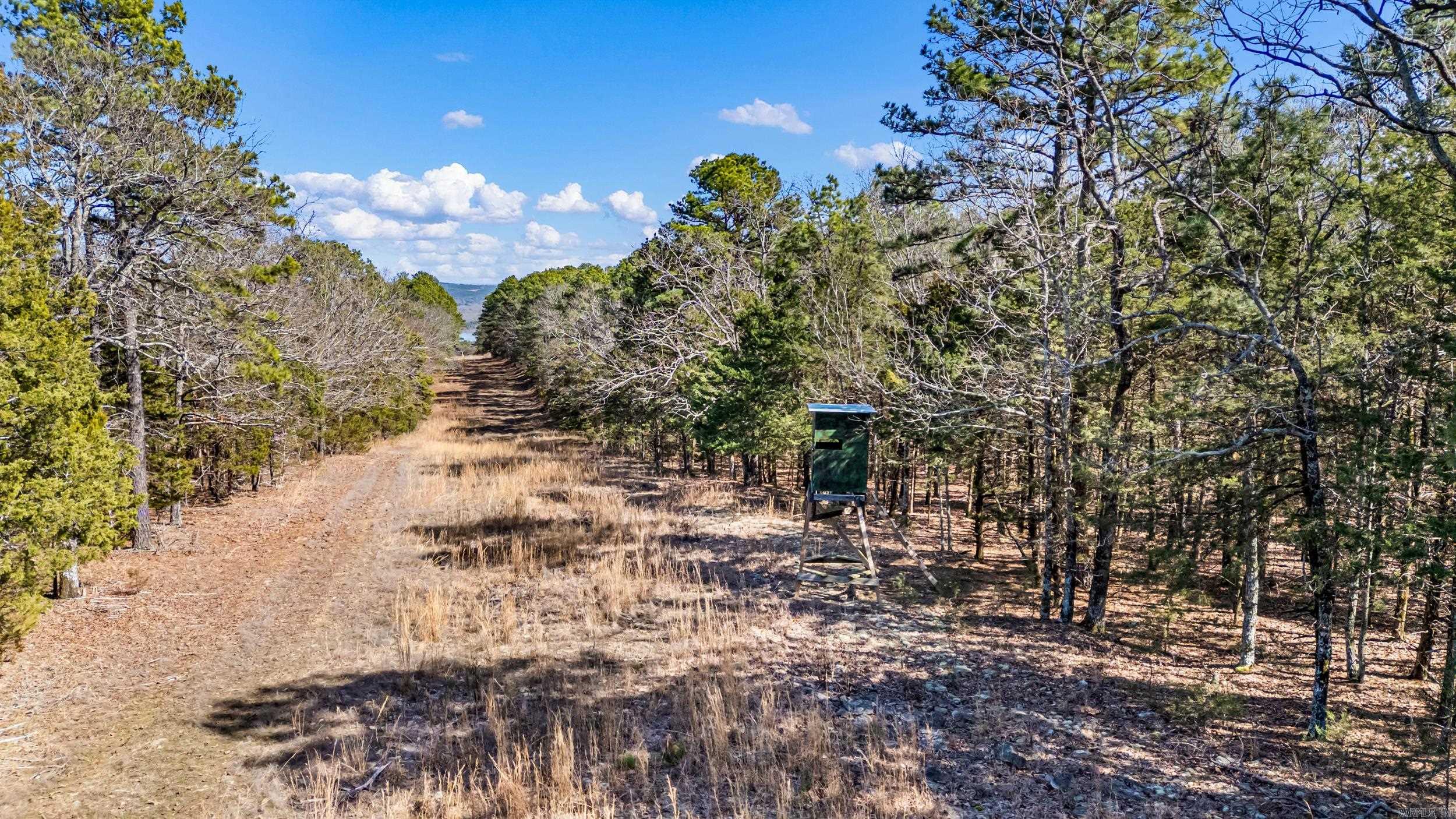 000 Flurry  Delaware, AR