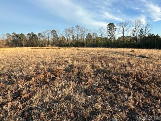  Lot 8 Grant 84  Sheridan, AR