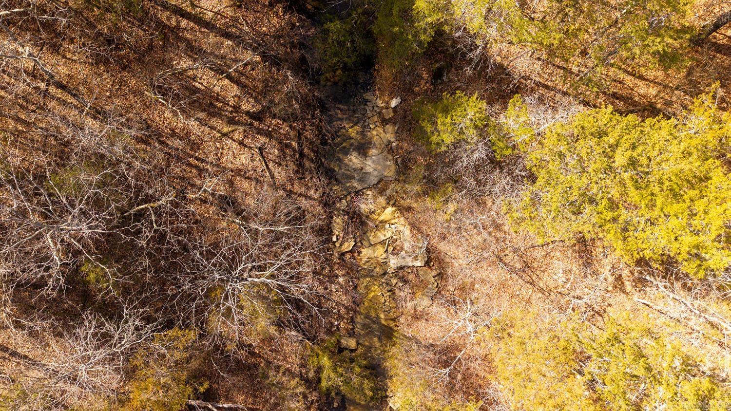 000 Rimstone Lane  Gainesville, MO