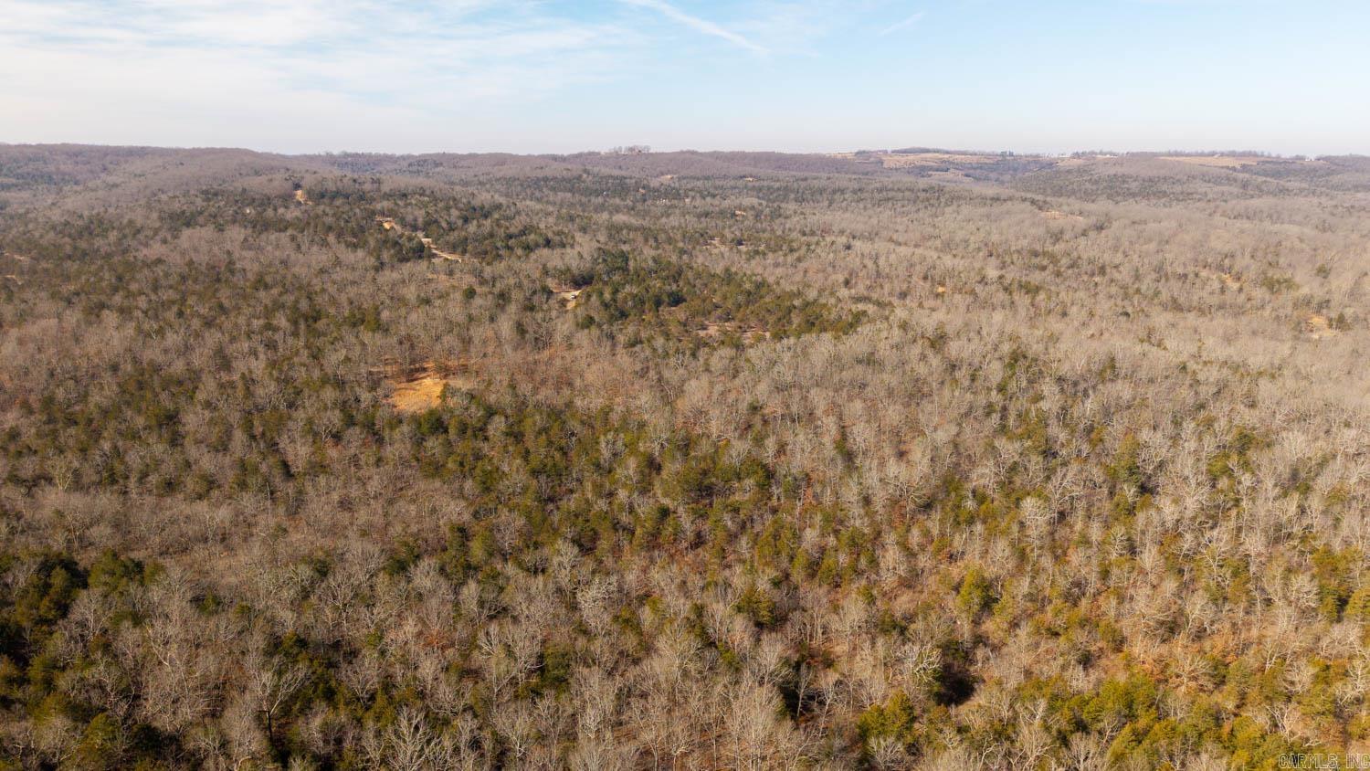 000 Rimstone Lane  Gainesville, MO