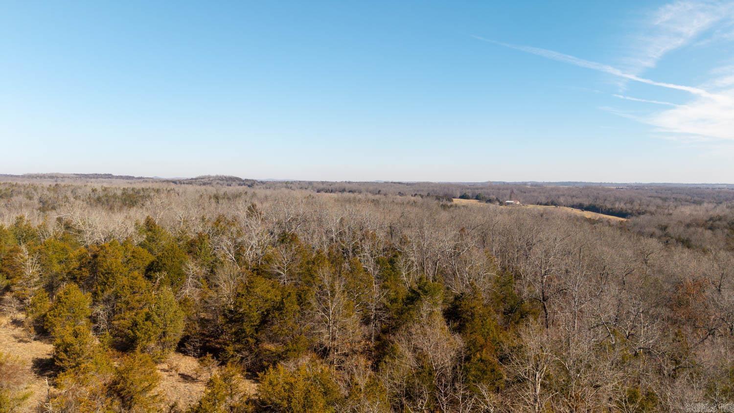 000 Rimstone Lane  Gainesville, MO