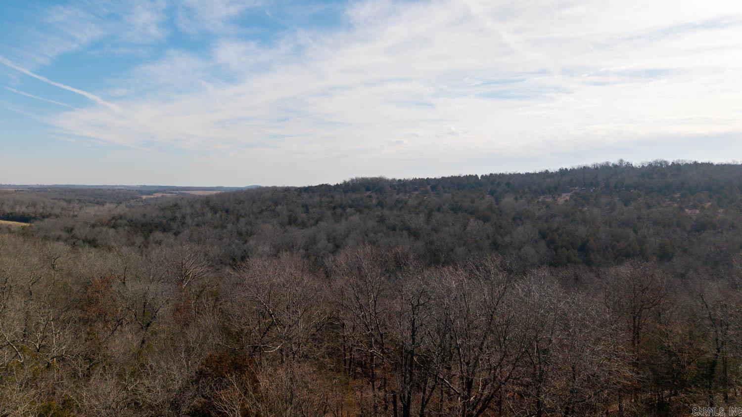 000 Rimstone Lane  Gainesville, MO