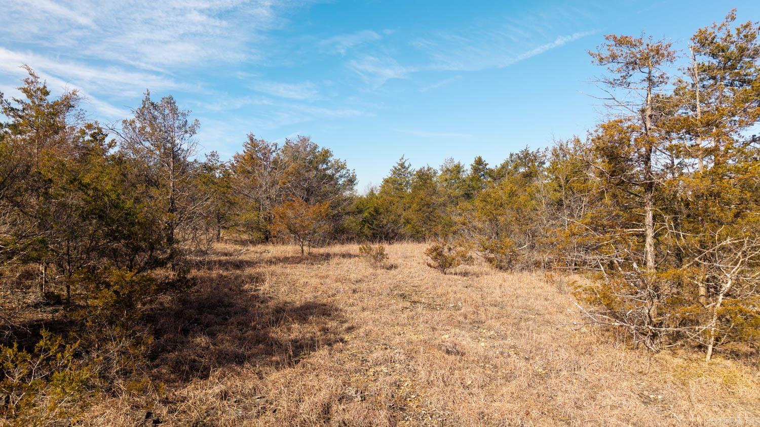 000 Rimstone Lane  Gainesville, MO