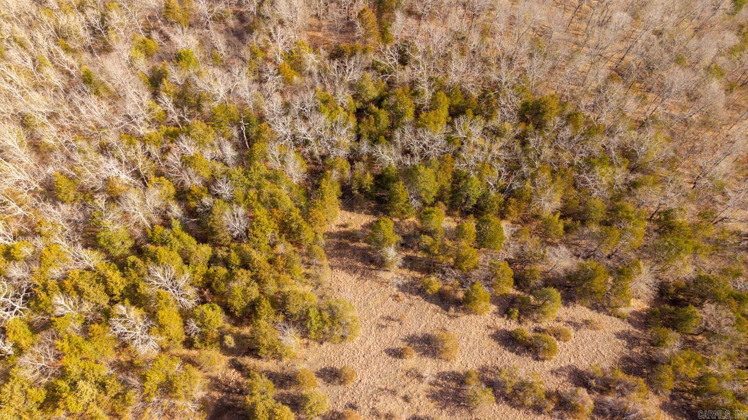 000 Rimstone Lane  Gainesville, MO