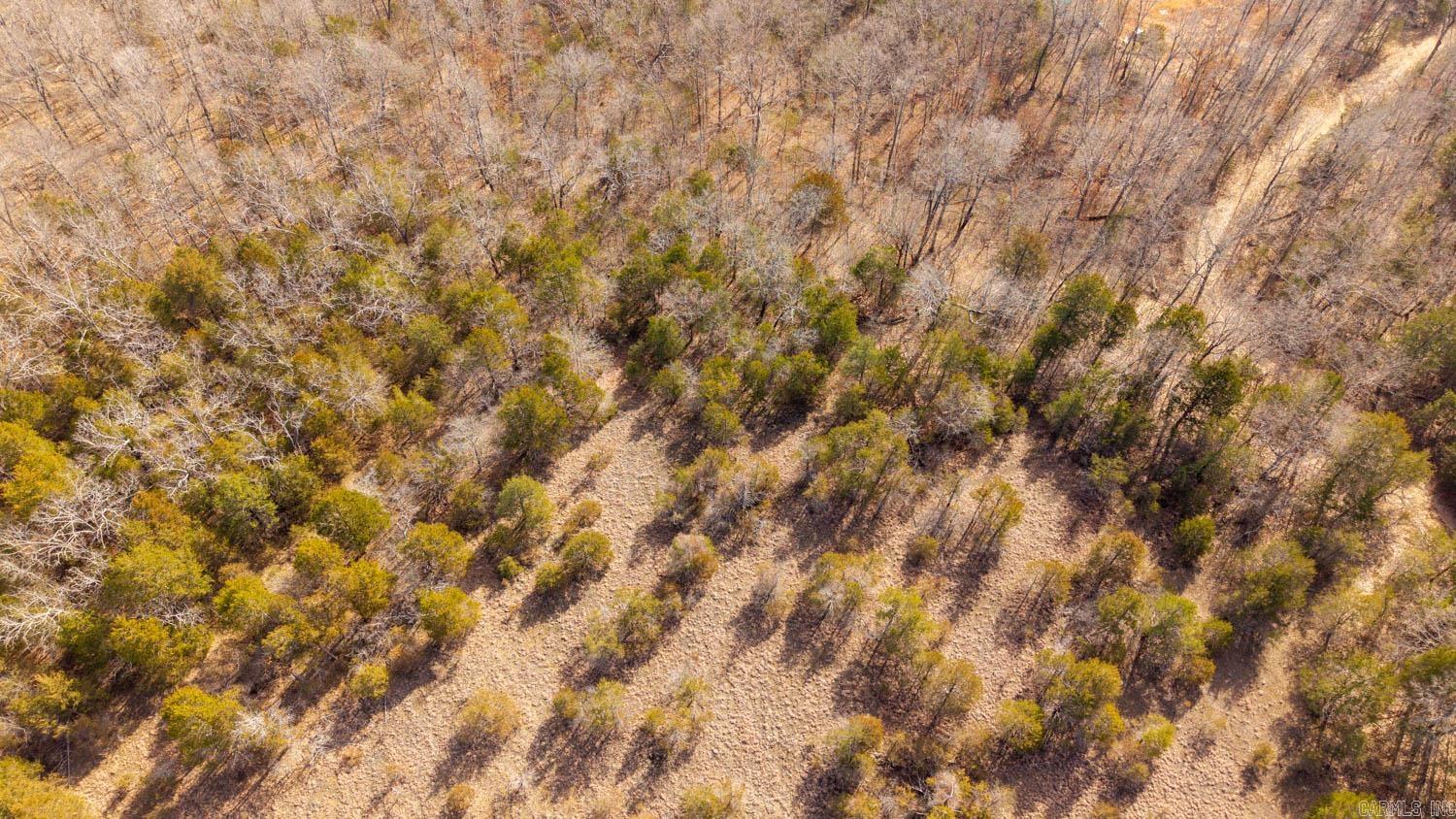 000 Rimstone Lane  Gainesville, MO