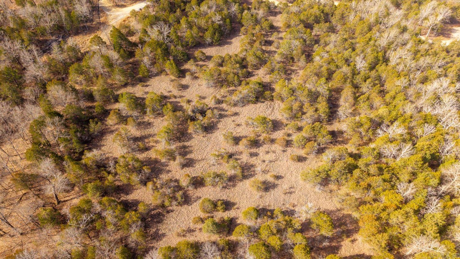 000 Rimstone Lane  Gainesville, MO