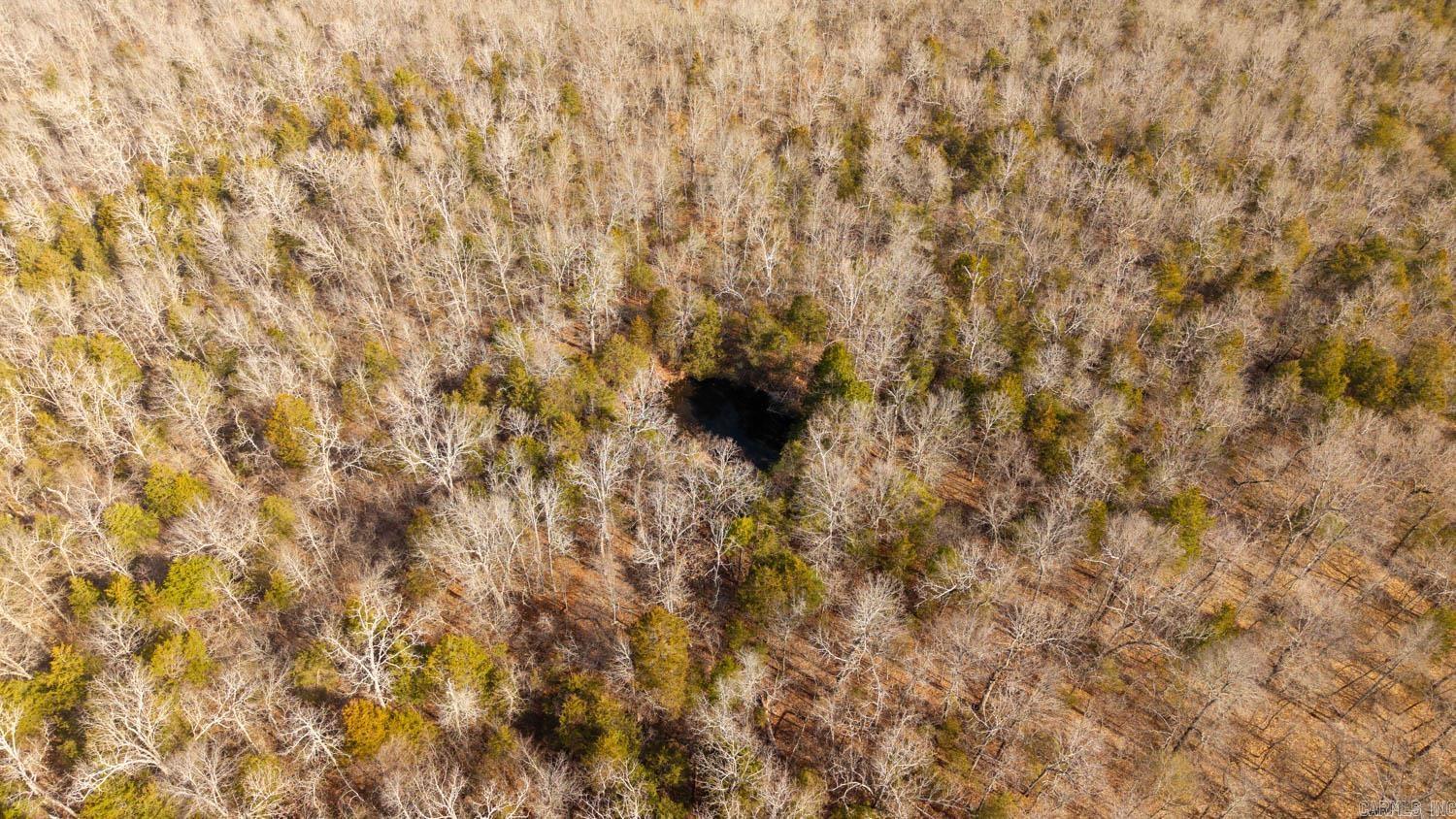 000 Rimstone Lane  Gainesville, MO