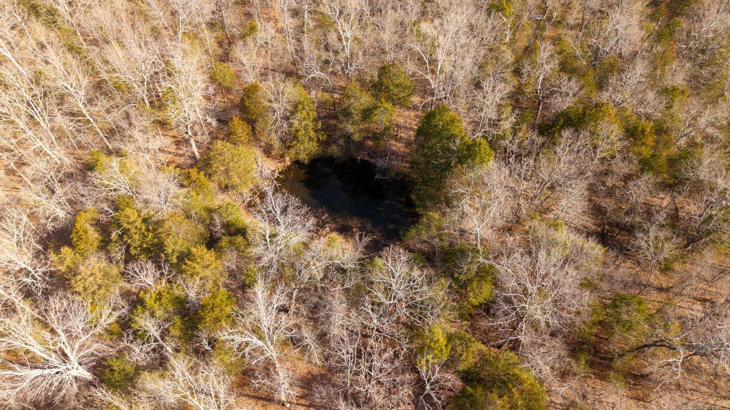 000 Rimstone Lane  Gainesville, MO