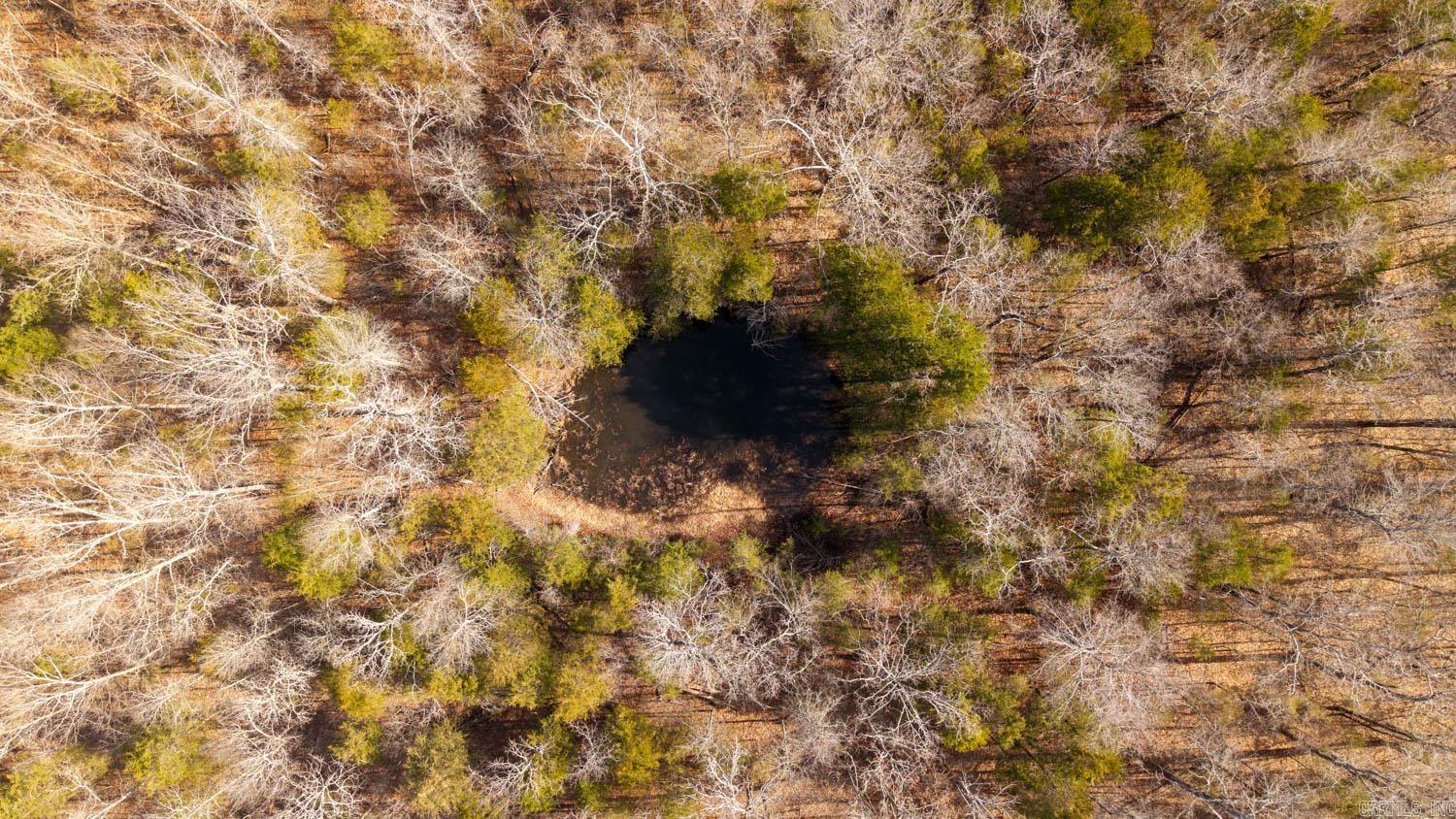 000 Rimstone Lane  Gainesville, MO