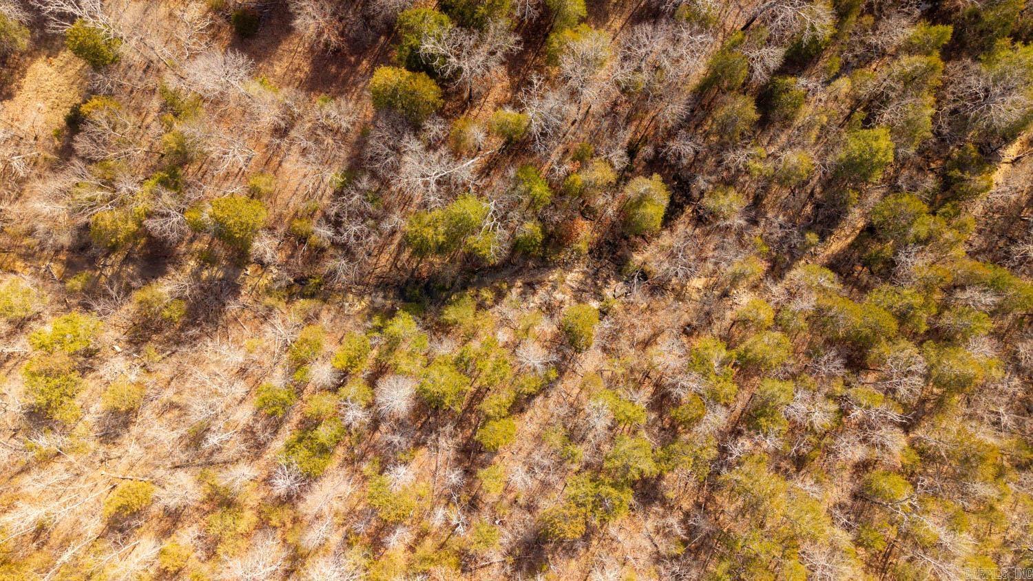 000 Rimstone Lane  Gainesville, MO