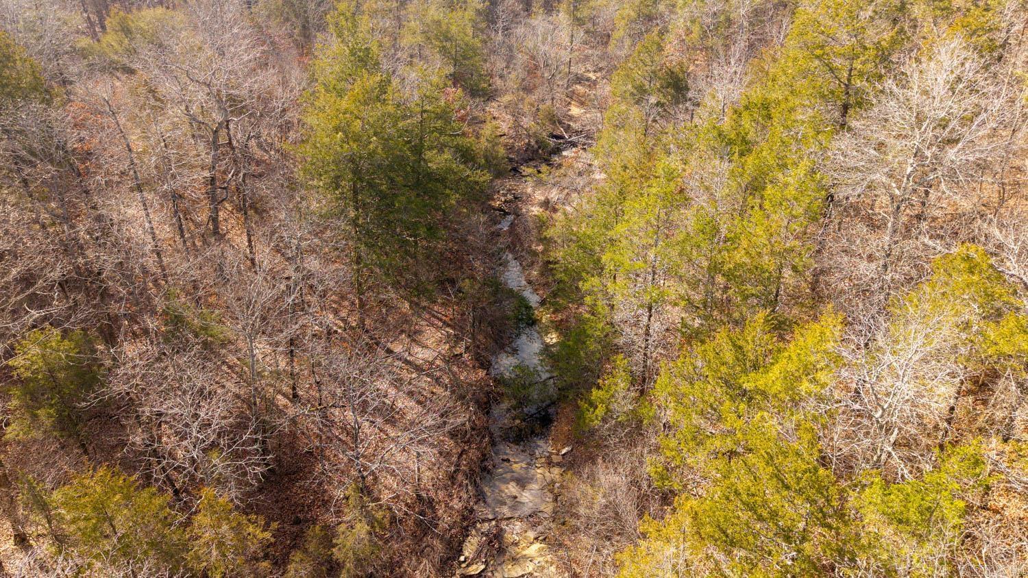 000 Rimstone Lane  Gainesville, MO