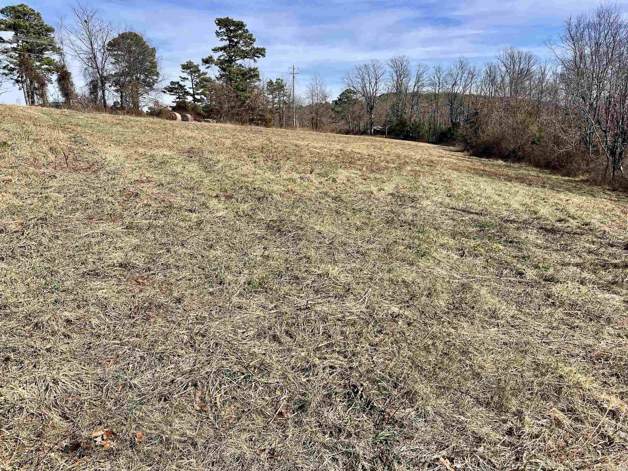 000 HWY 254  Dennard, AR